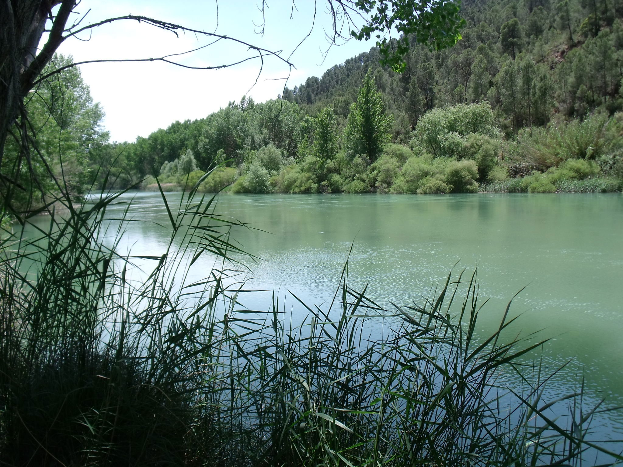 Ruta por el río Cabriel, por sala2500