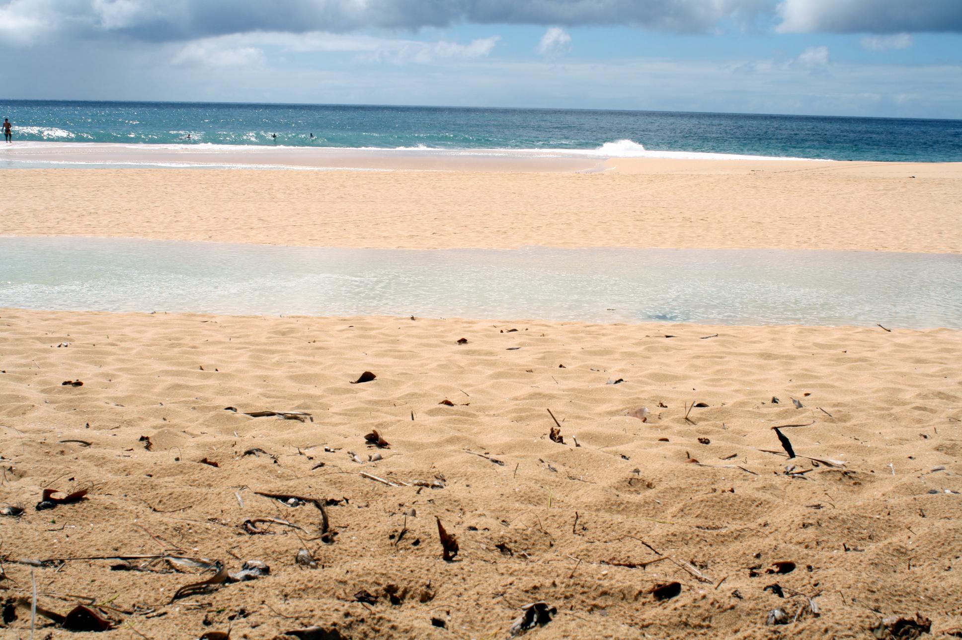 North Shore, por Fernanda Balducci