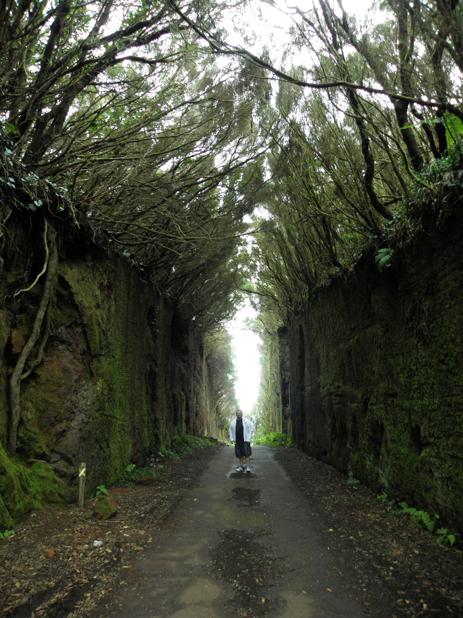 Camino viejo al Pico del Inglés, por Diogenesp