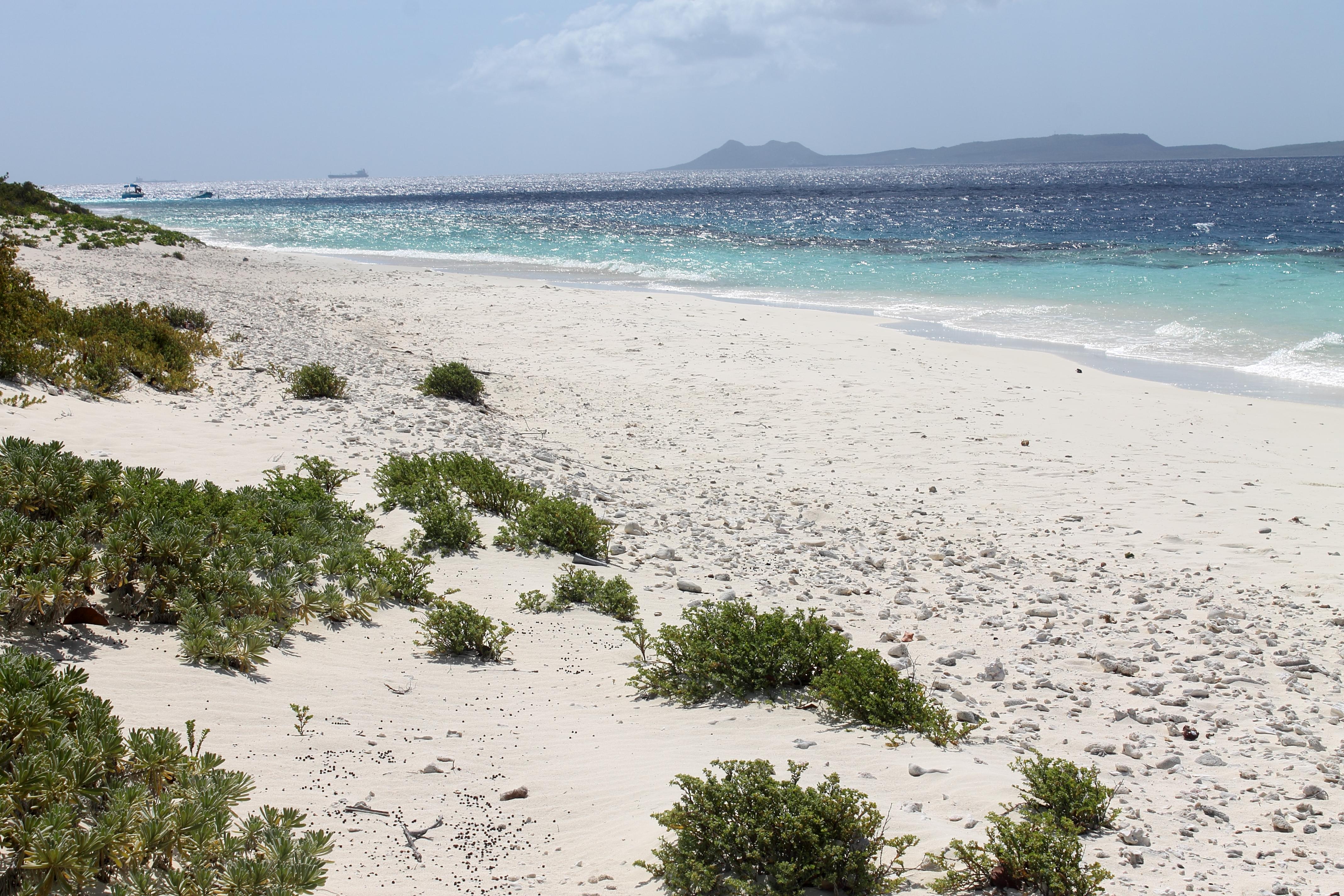 Klein Bonaire, por Erika Paz