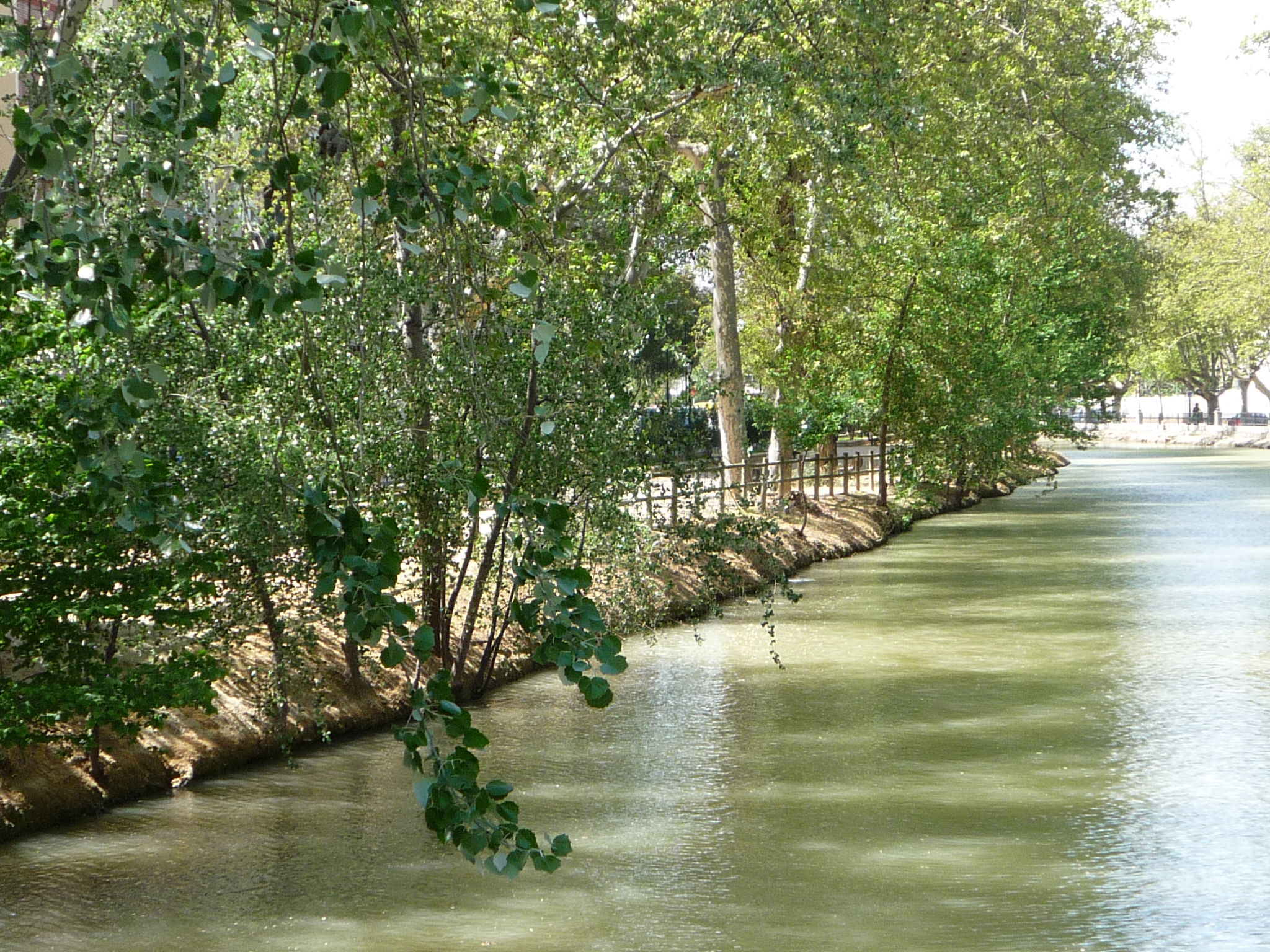 Canal imperial, por Carmen Luesma Martínez