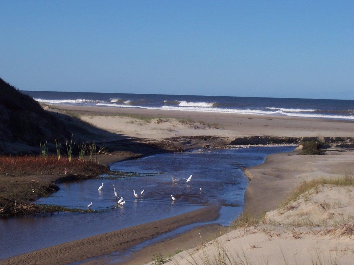 Barra do Chuí, por Rita Luziete Cardoso
