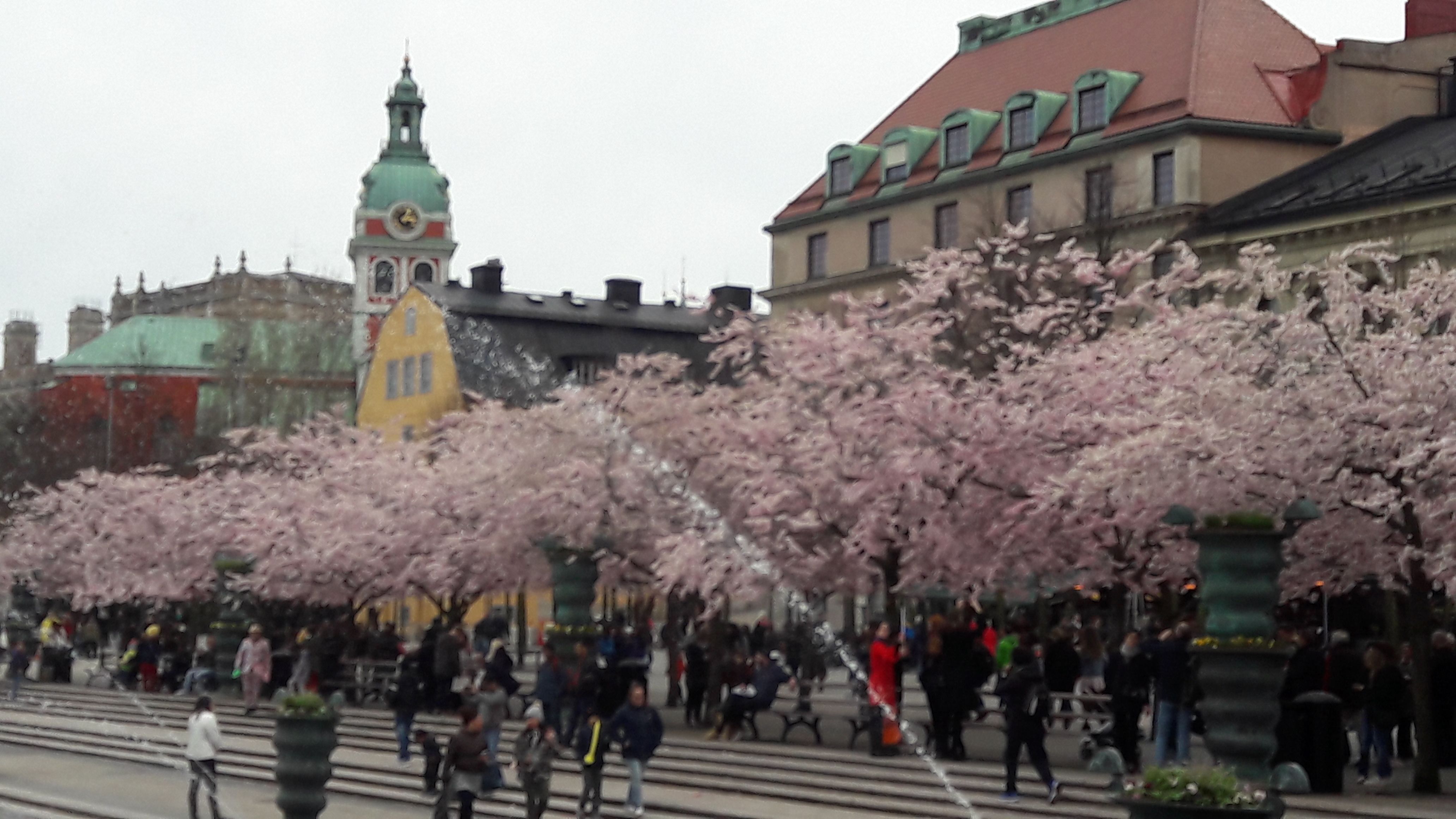 Descubre la belleza de los palacios en Suecia y su rica historia