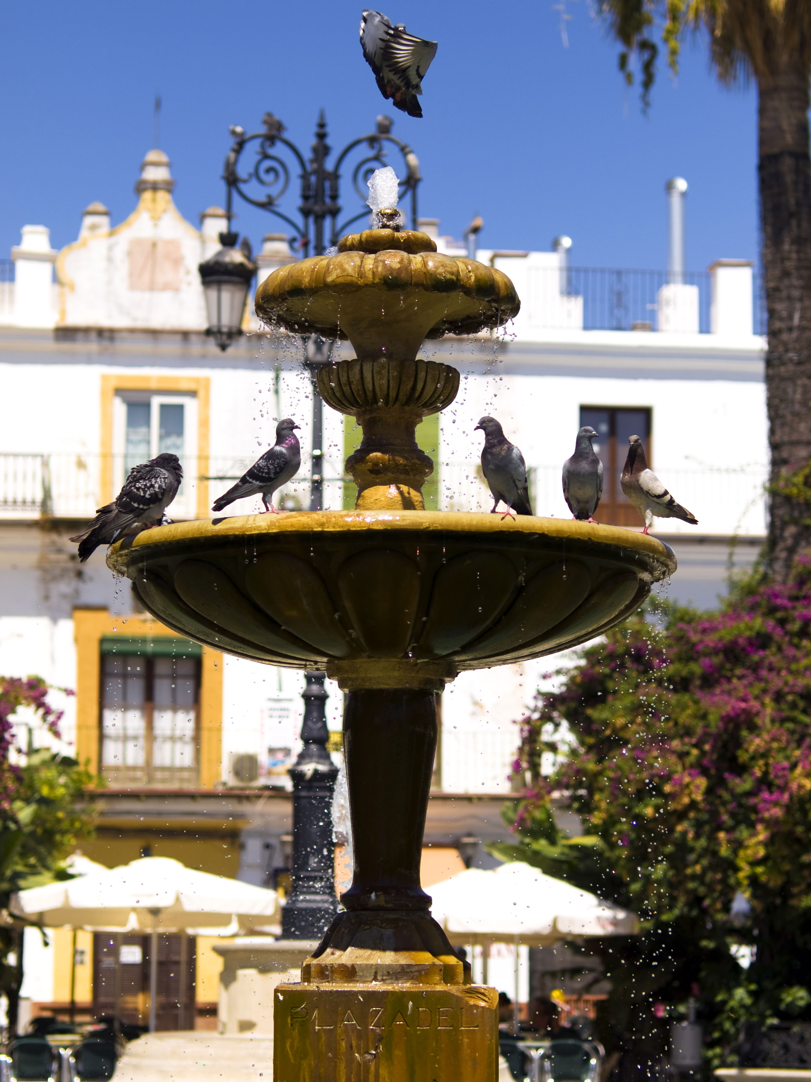 Plaza del Cabildo, por Mª Angeles Vidal Tejero
