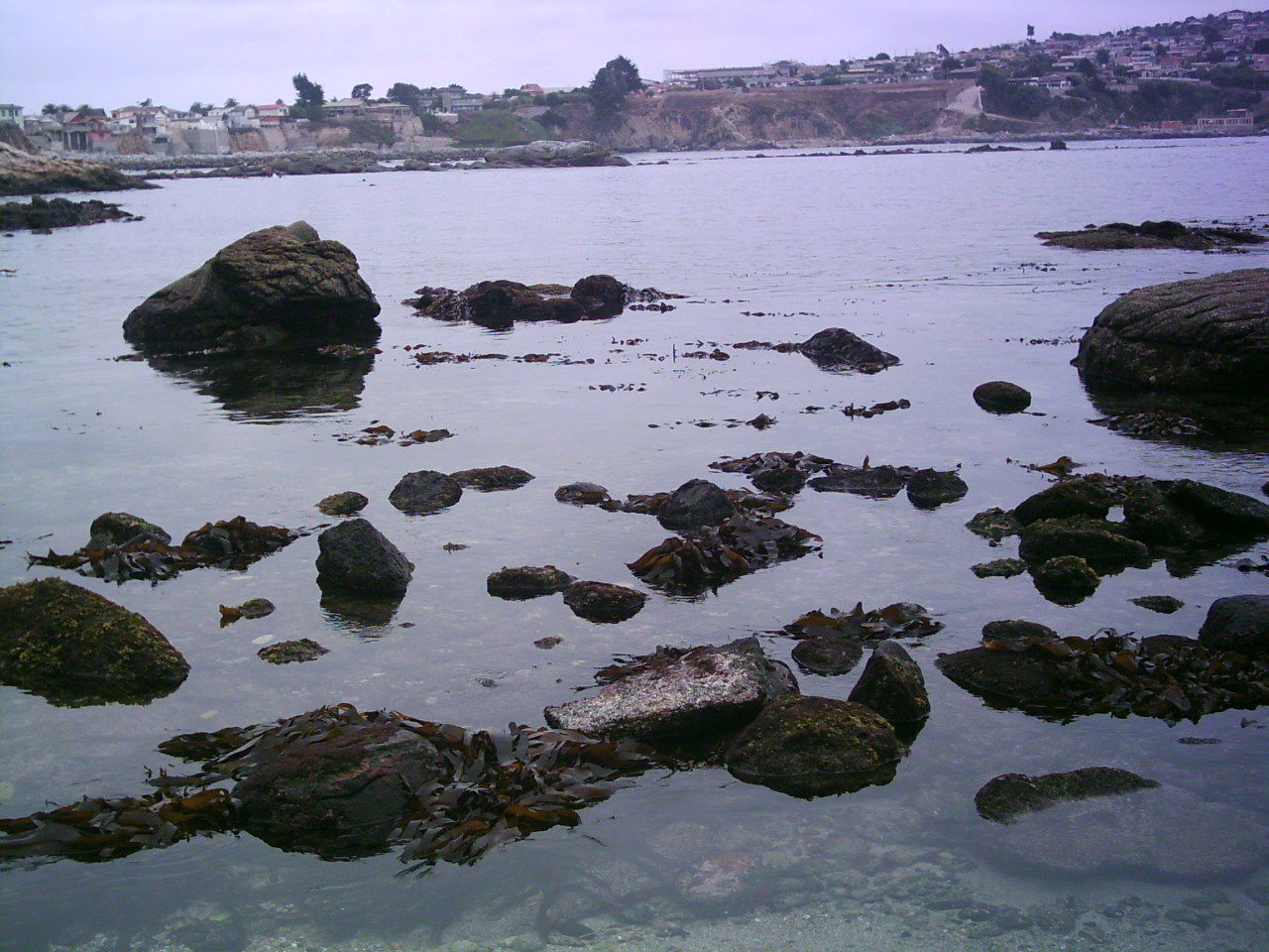 Playa el Papagallo, por Poseidon