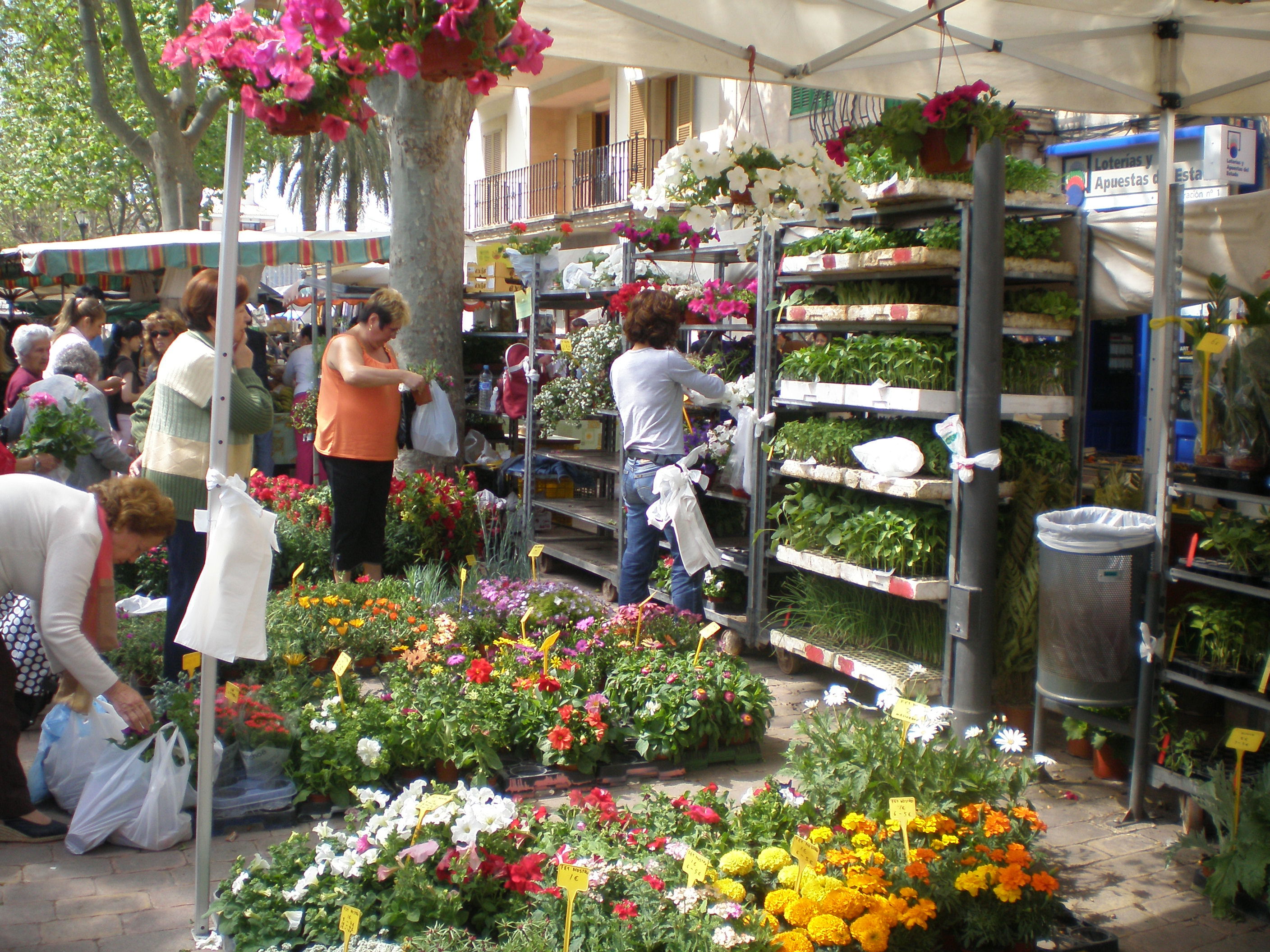 Mercado de Alcudia, por Lucie