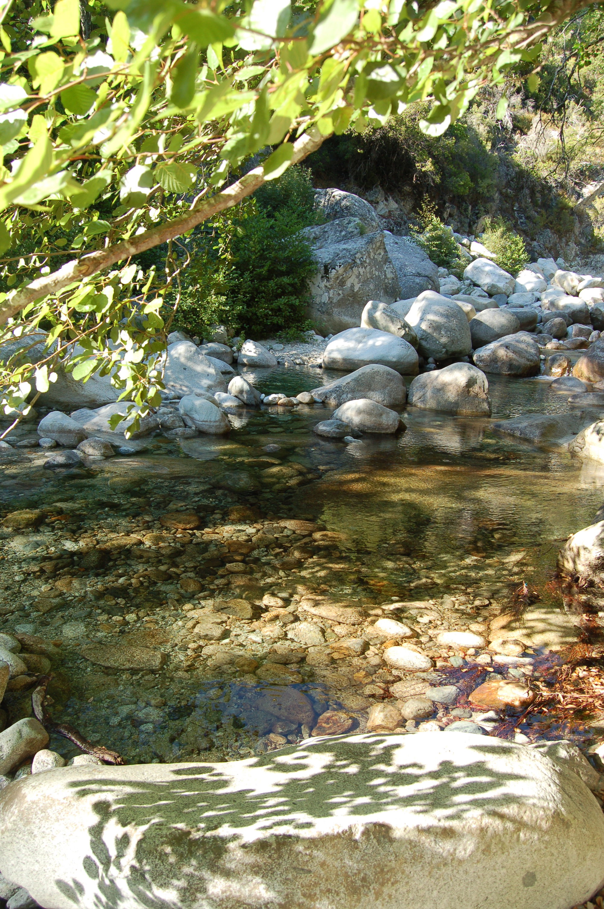 Rio de Bocognano, por Johanna