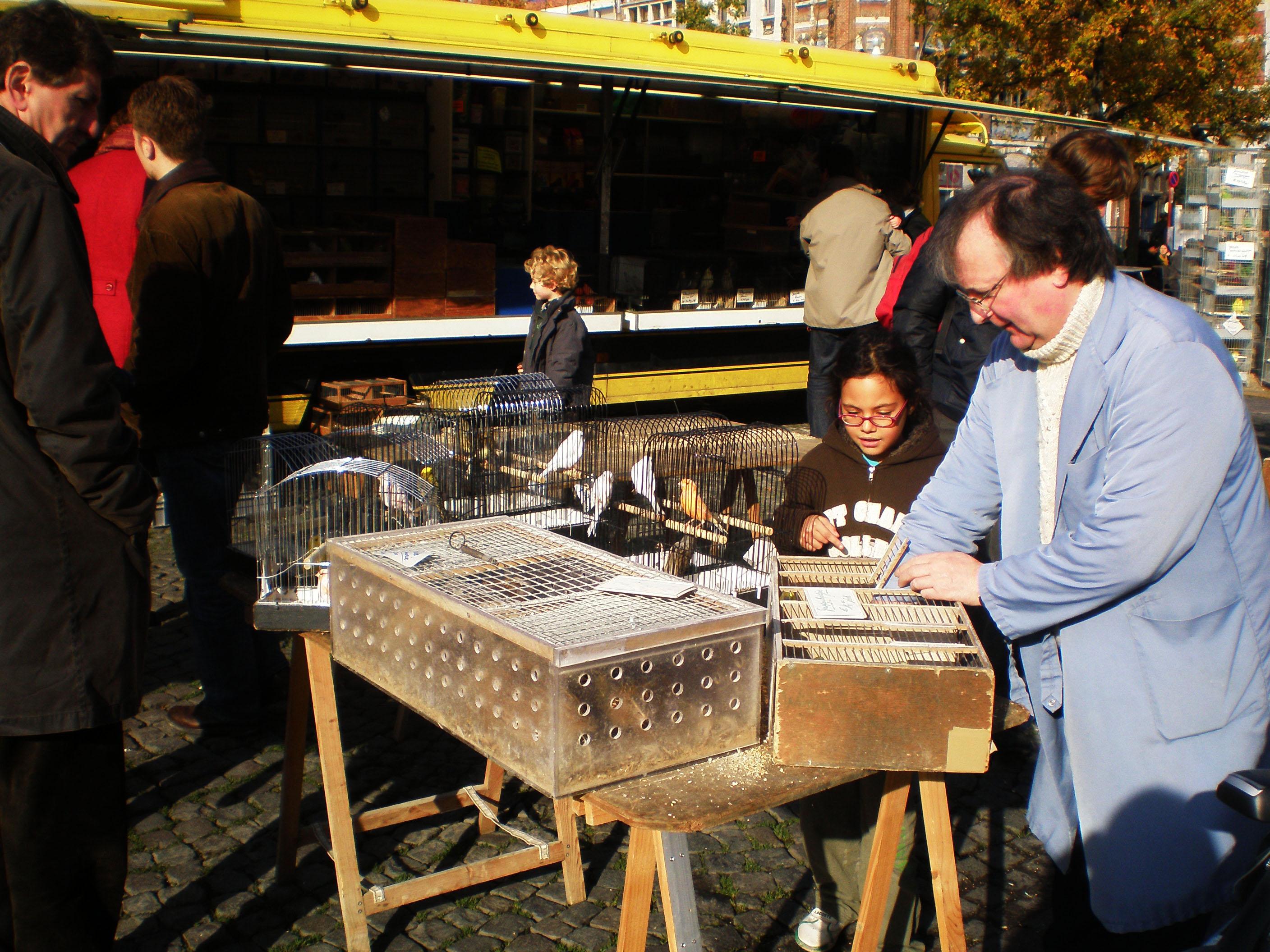 Mercado de Animales, por Cristina E Lozano