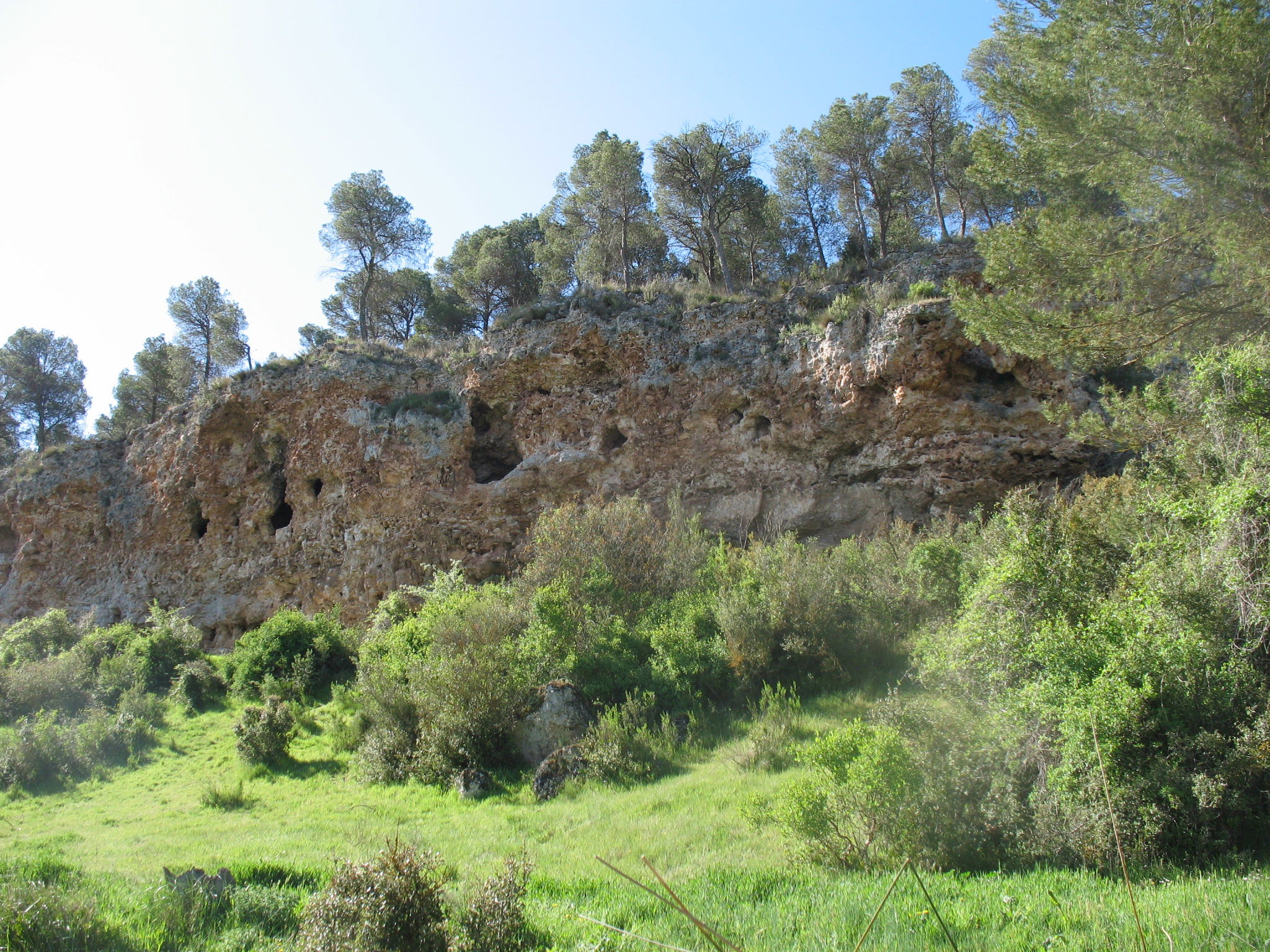 Paraje de Cuasiermas, por miguel a. cartagena