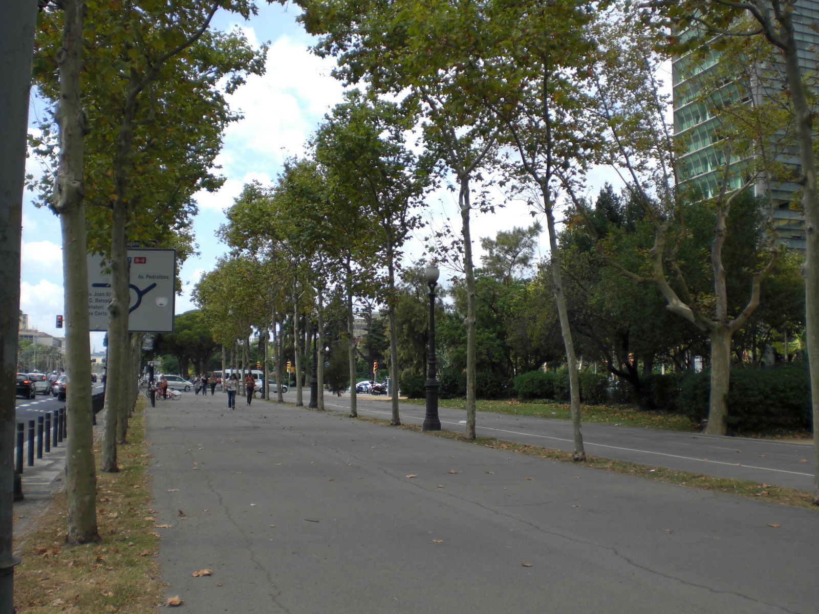 Avenida Diagonal, por paulinette