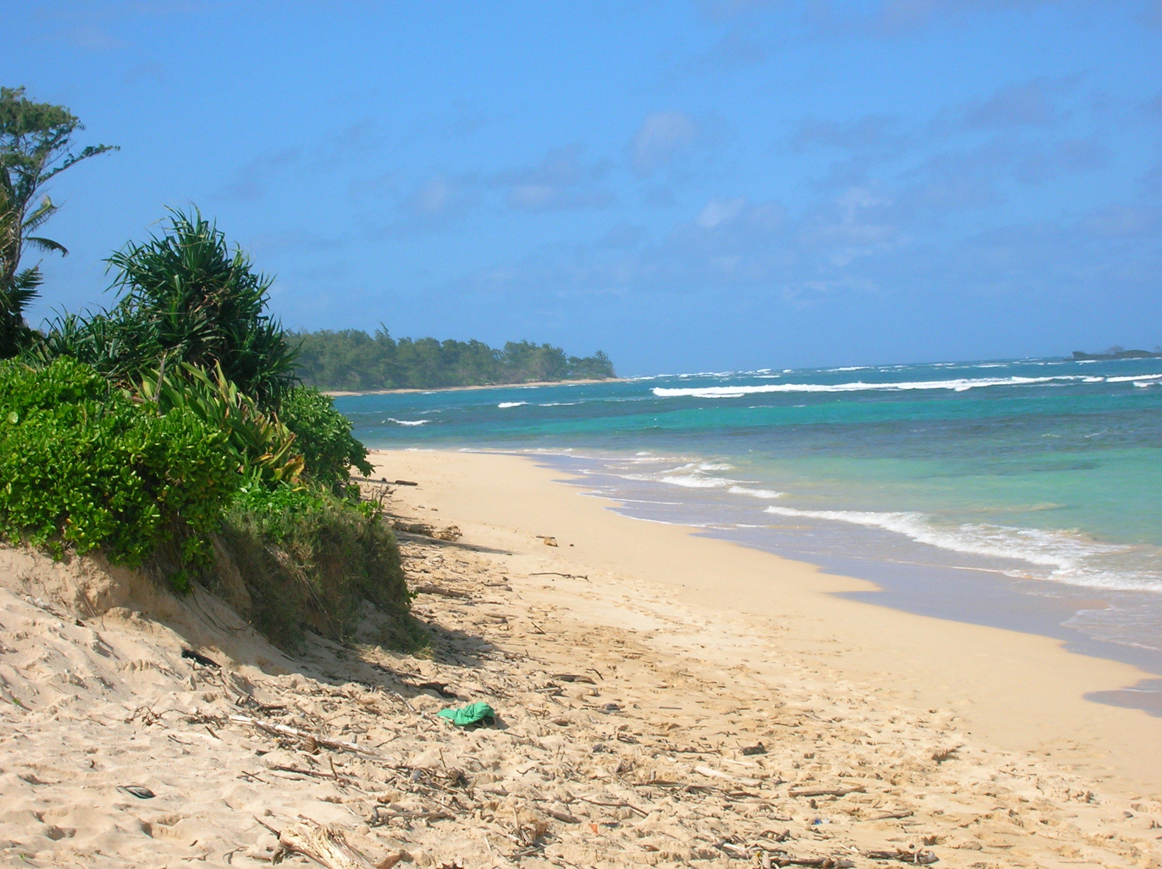 Temple Beach, por Grace Anderson