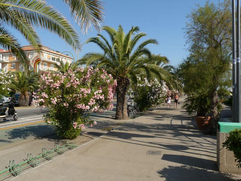 San Benedetto del Tronto, por Marco Guizzardi