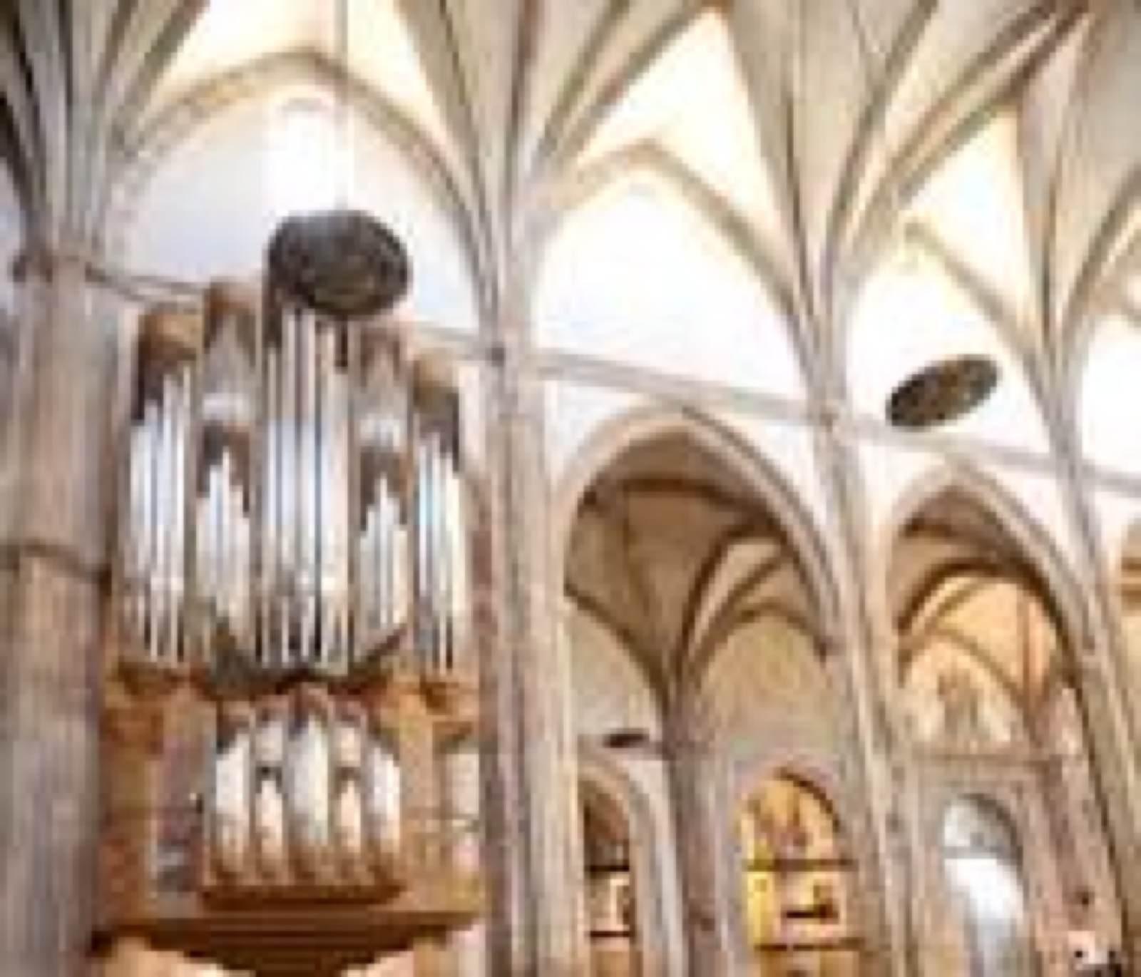 Catedral Magistral de Alcalá, por Lorena