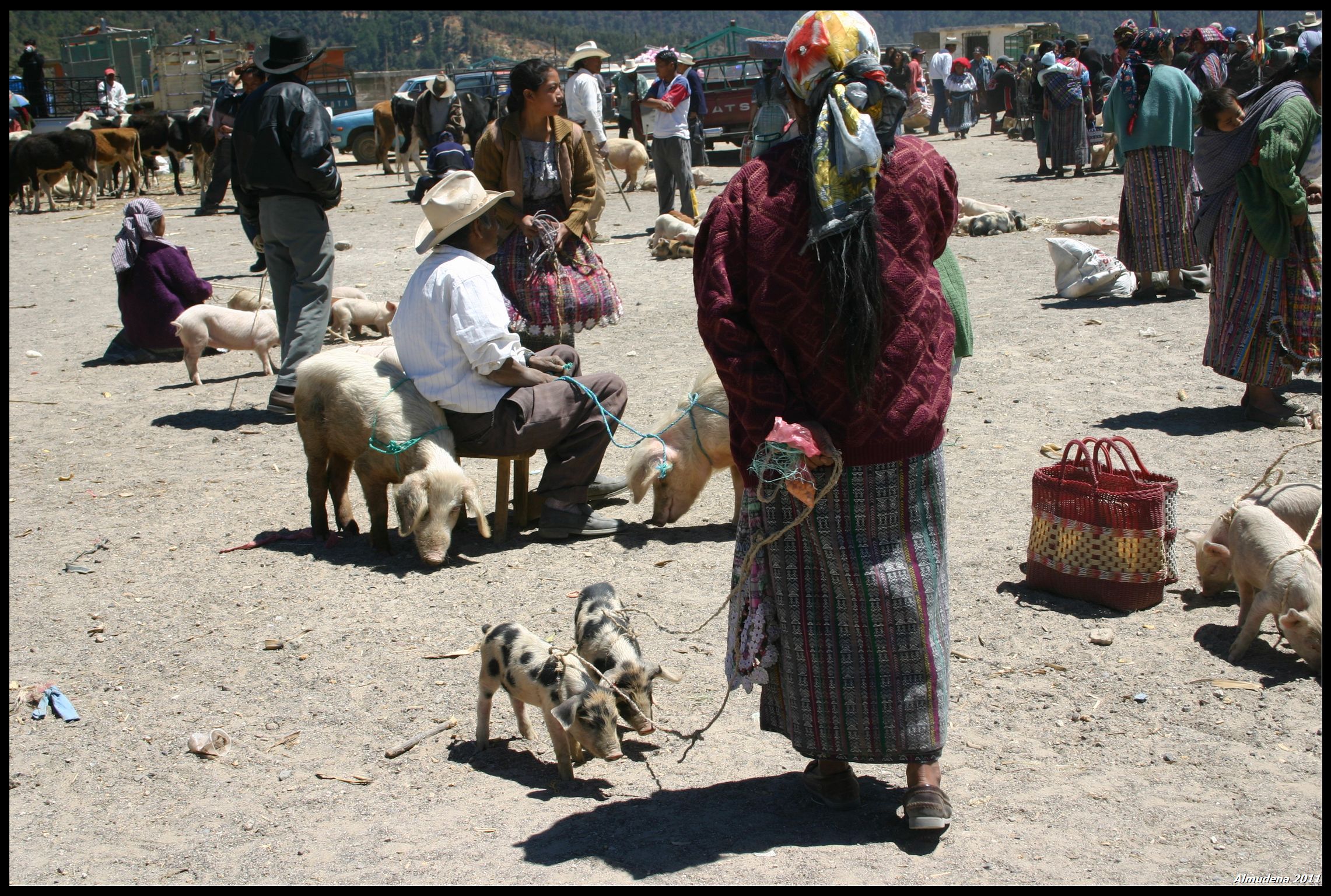 Mercado de Animales, por Almudena