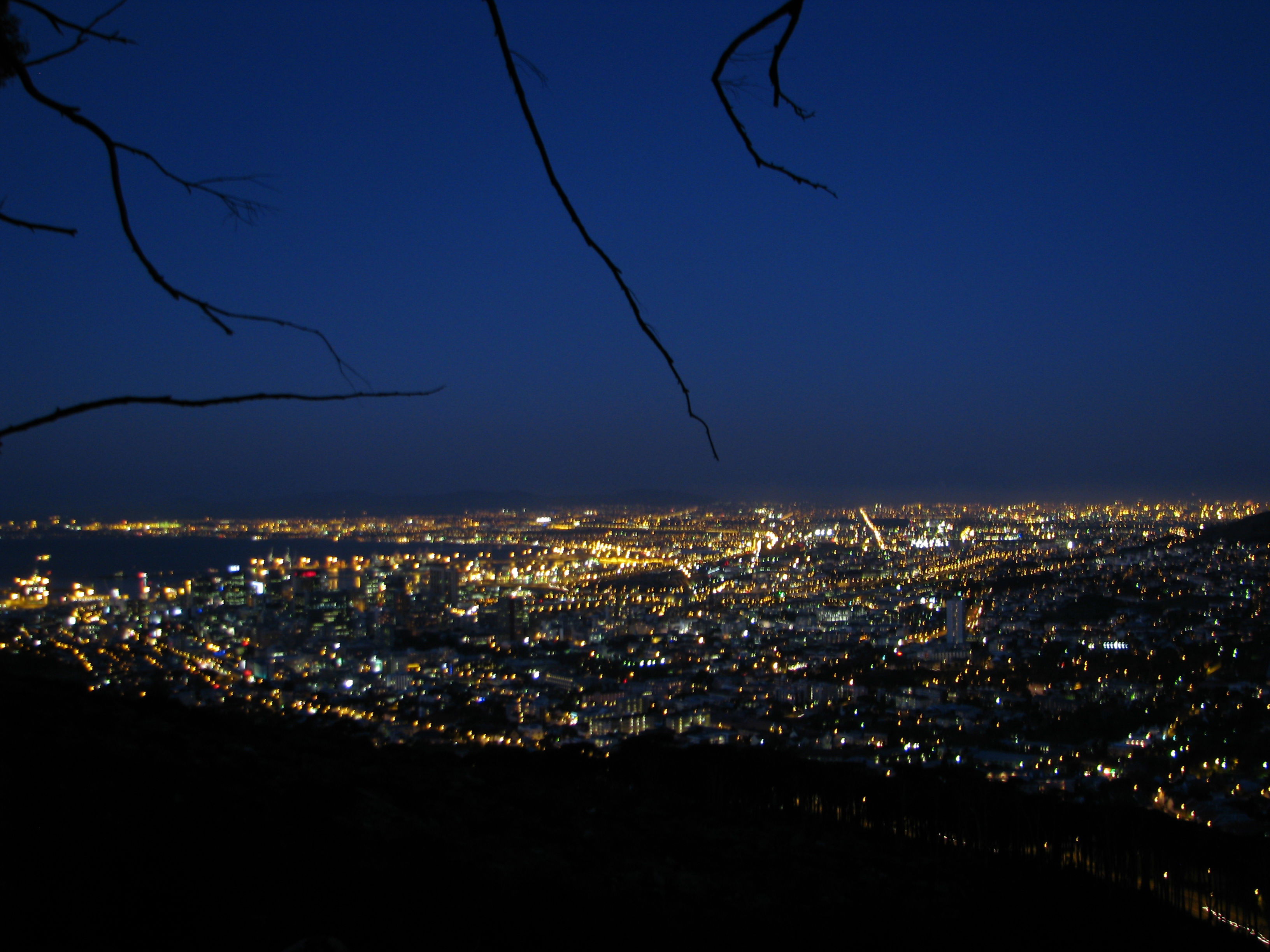 Lion's head, por Capuccino