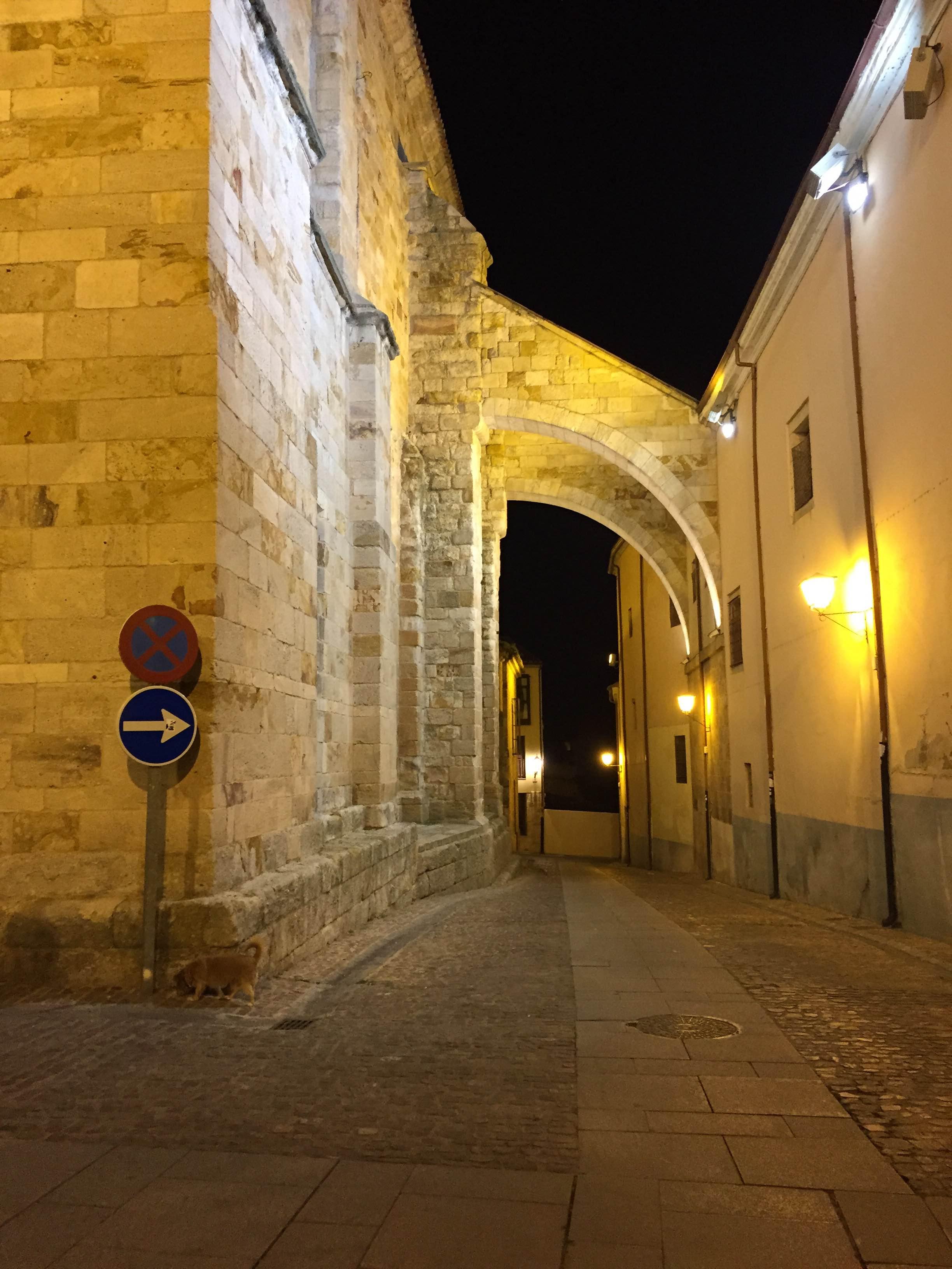 Iglesia de San Pedro y San Ildefonso, por Angeles Moreno
