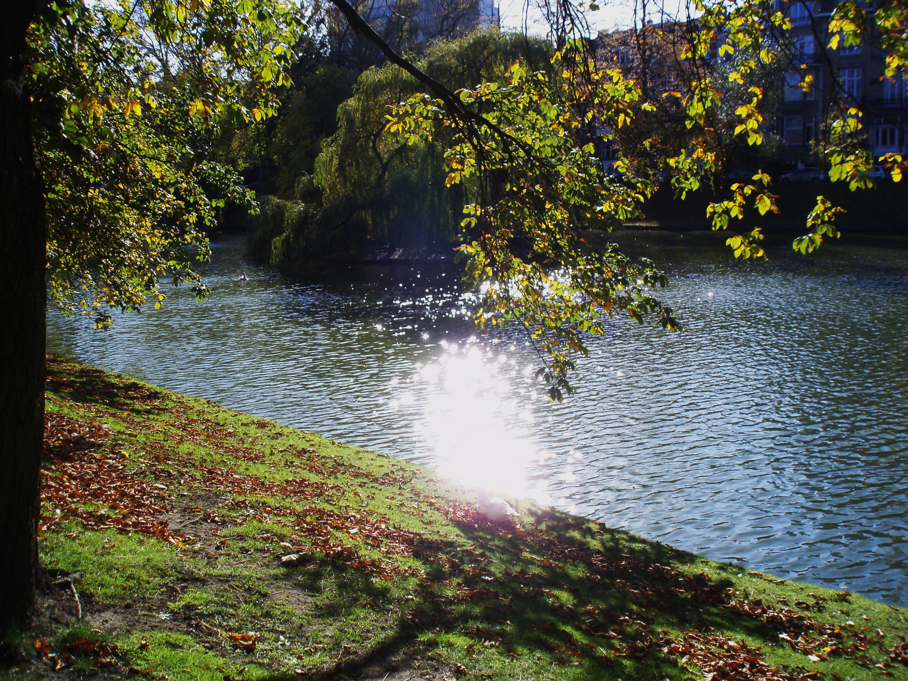 Estanques de Ixelles, por Lna