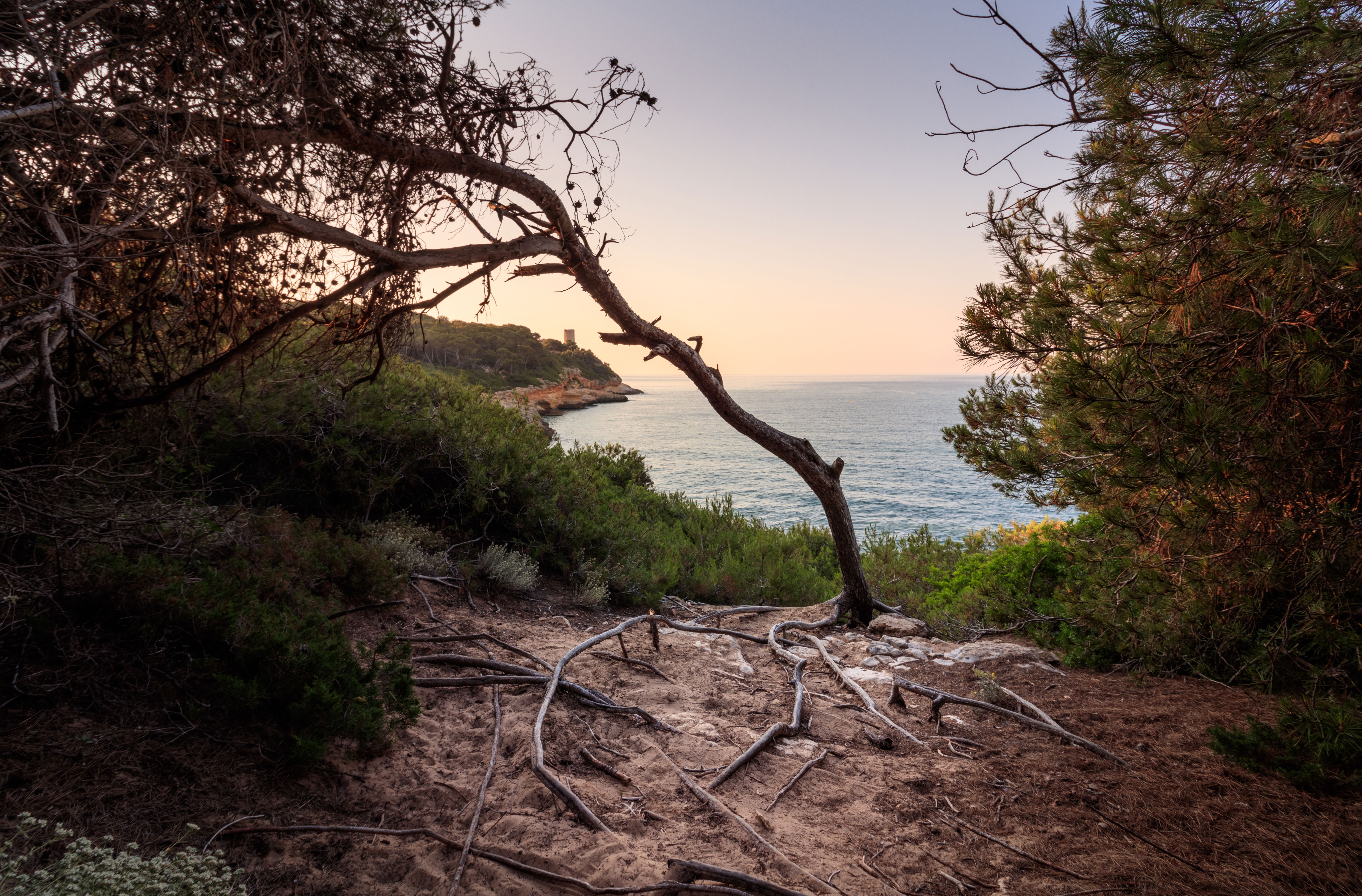 Aire libre en Tarragona: descubre la magia de sus espacios naturales