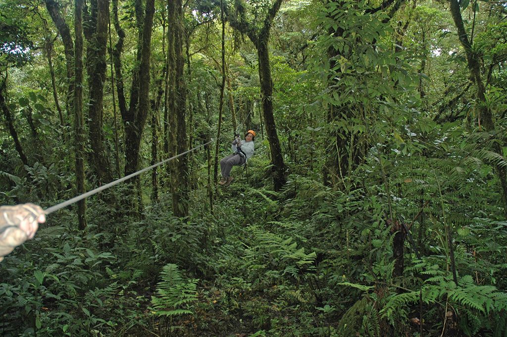 Reserva Biológica Monteverde, por Cándido R. Vicente