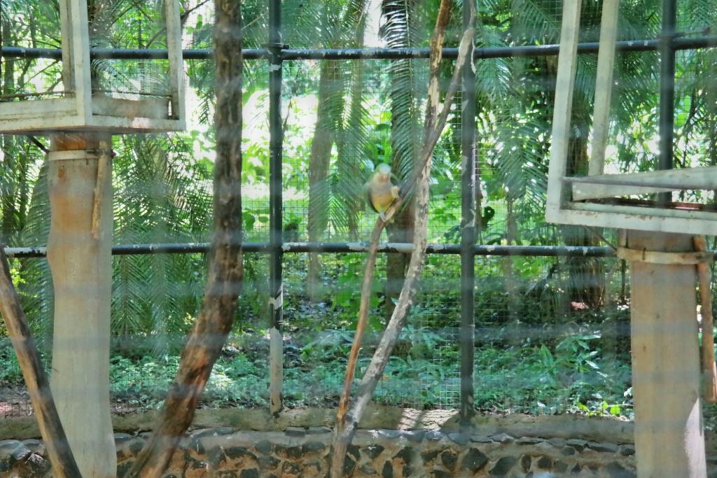 Zoológico Bosque Guarani, por Leo Araújo