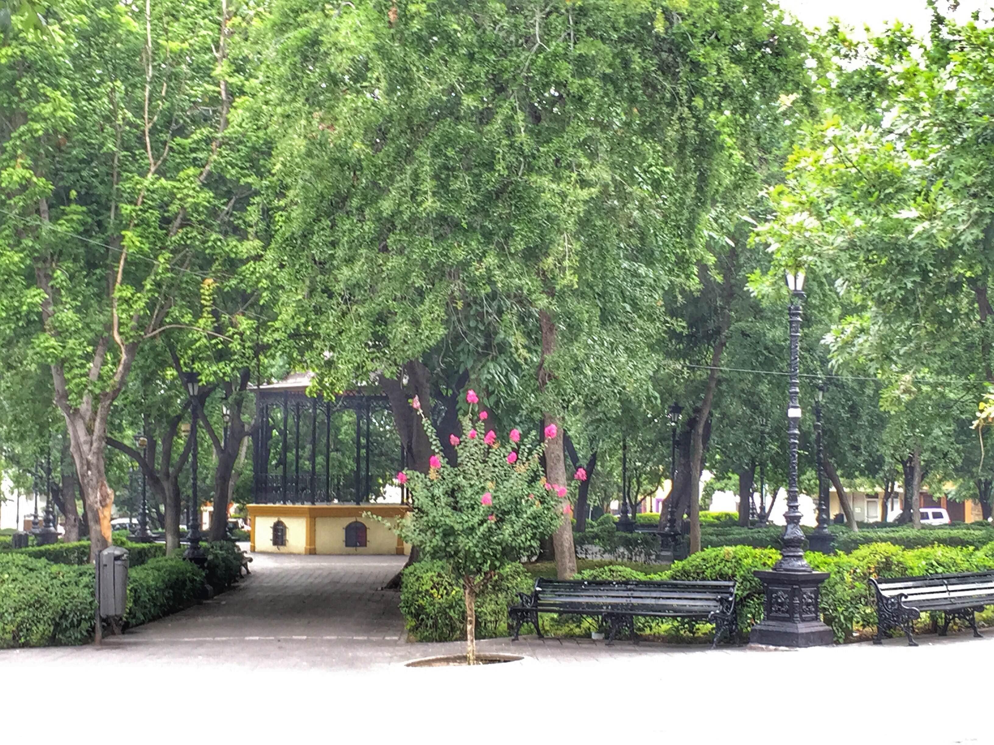 Plaza de armas de San Pedro Garza García, por Diana Patricia Montemayor Flores