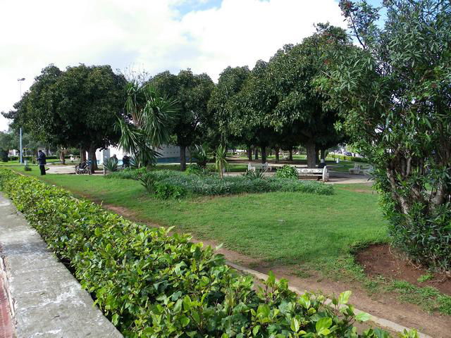 Jardin Val d'Anfa, por guanche