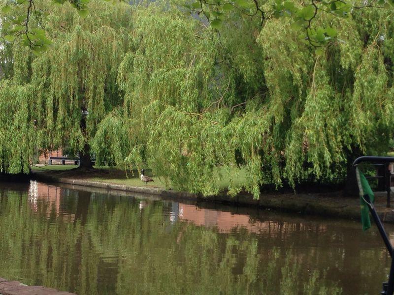 Canales de Castlefield, por Pamela Osorio Huiza