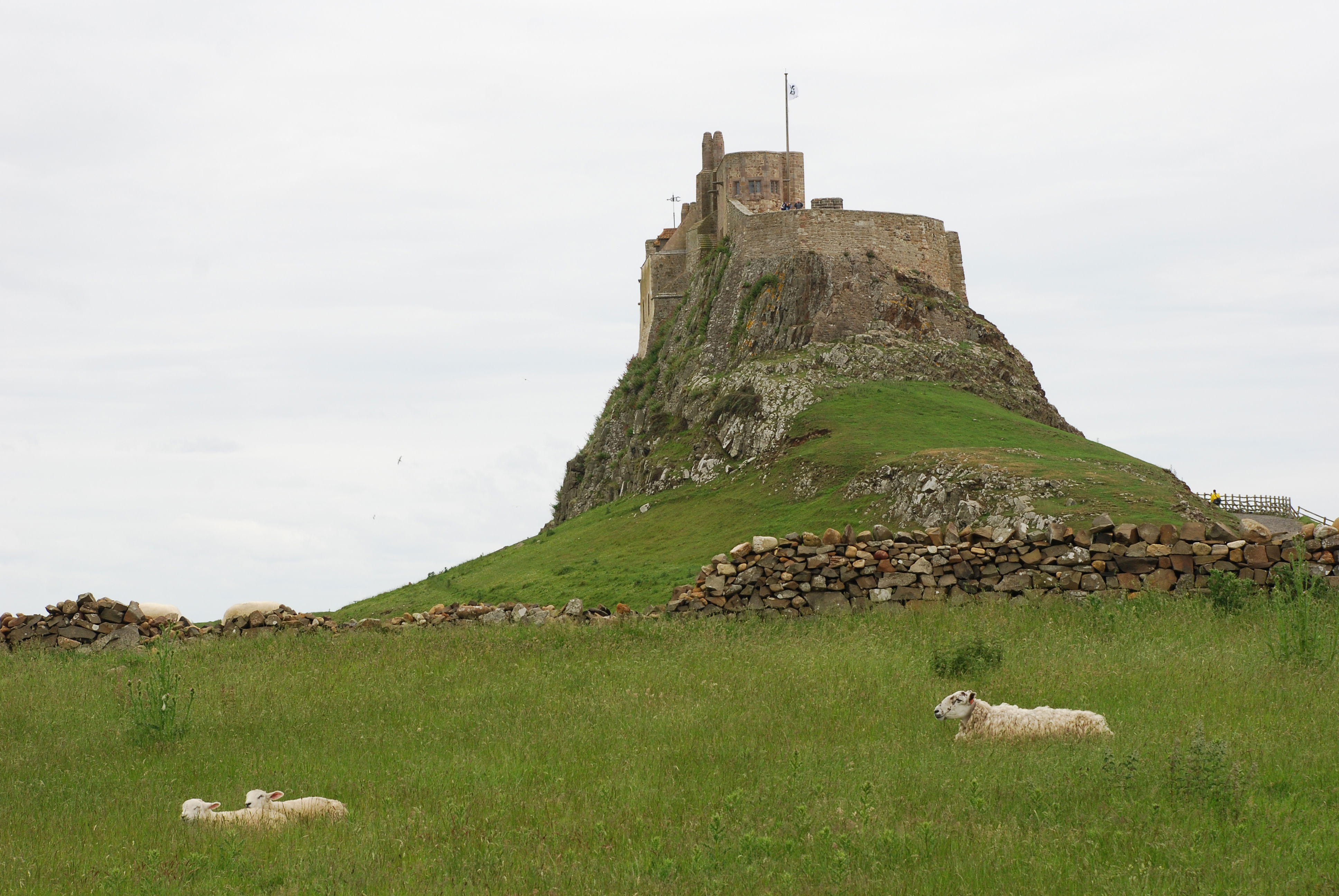 Castillo de Lindisfarne, por eXplorador Escocés