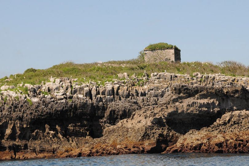 Isla de San Pedruco, por Andrea 