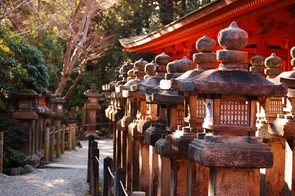 Kasuga Taisha, por David Esteban