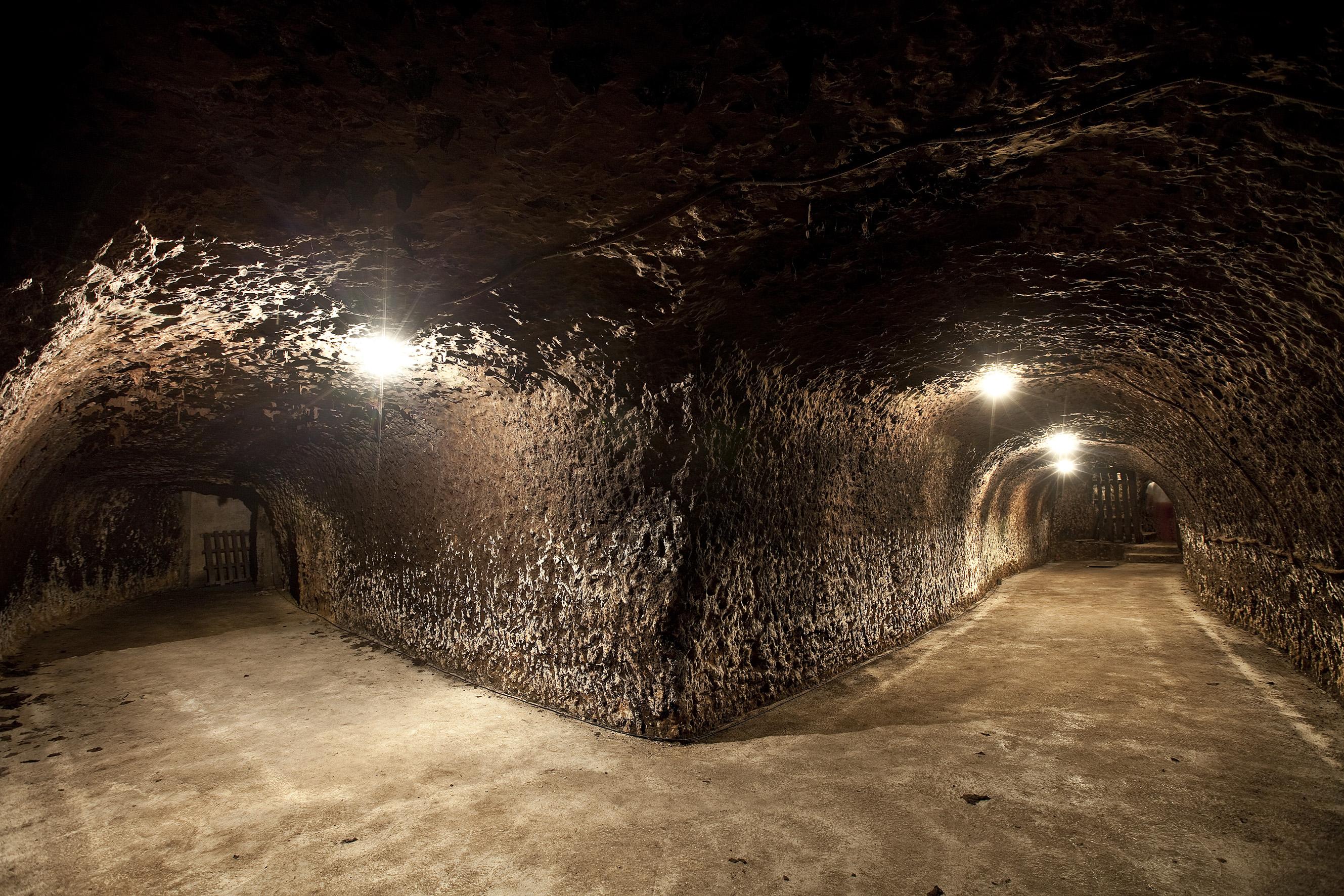 Bodegas Pascual, por Ruta del Vino Ribera del Duero