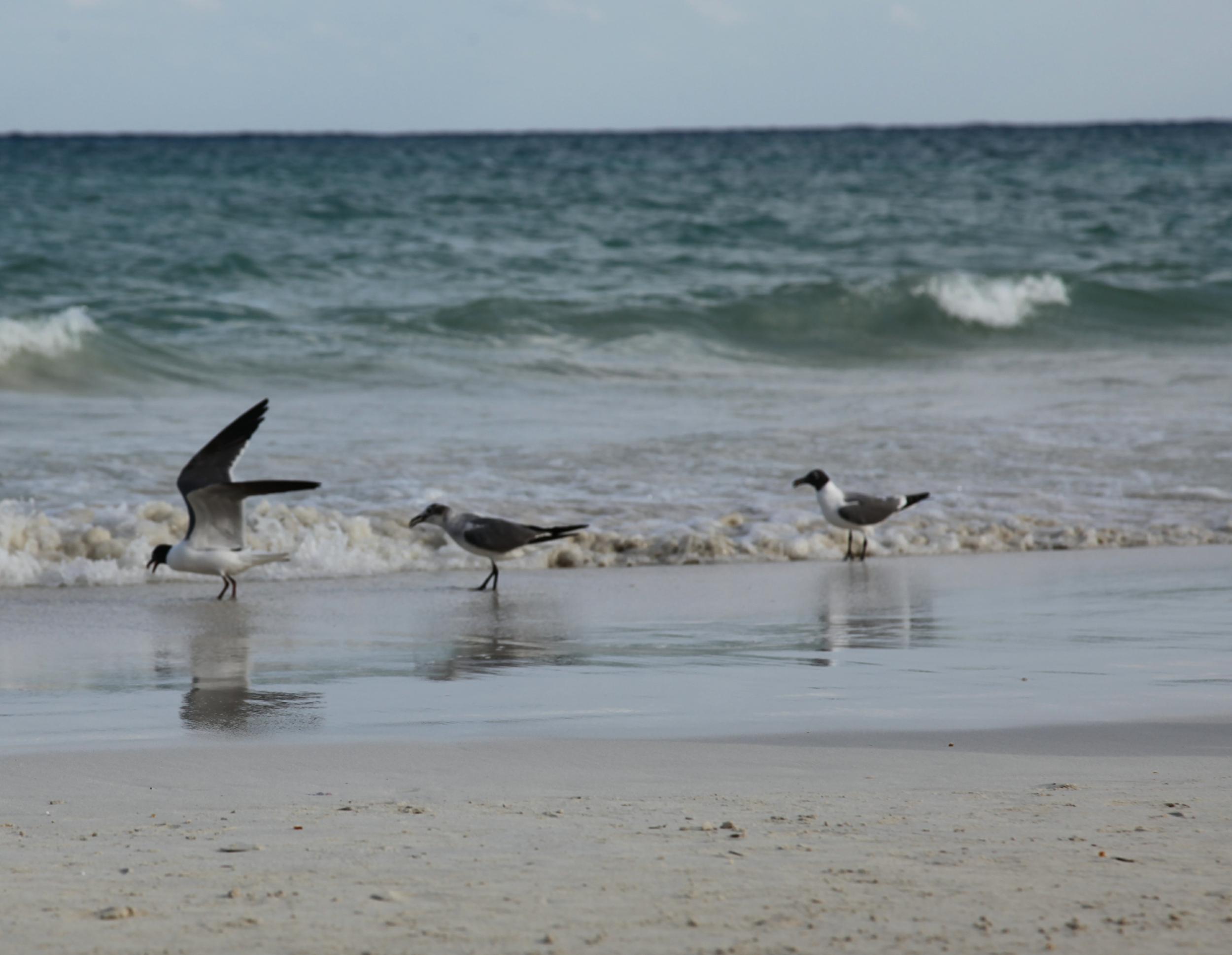 Playa Punta Bete, por Almudena