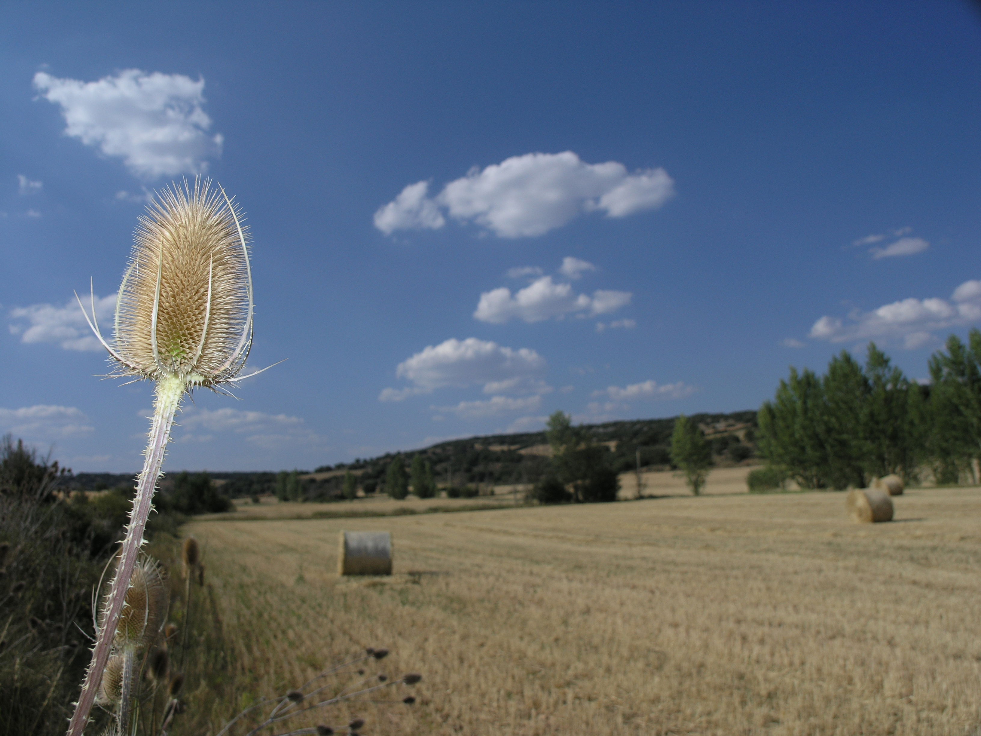 Valles singulares de Castilla y León que cautivan a los viajeros