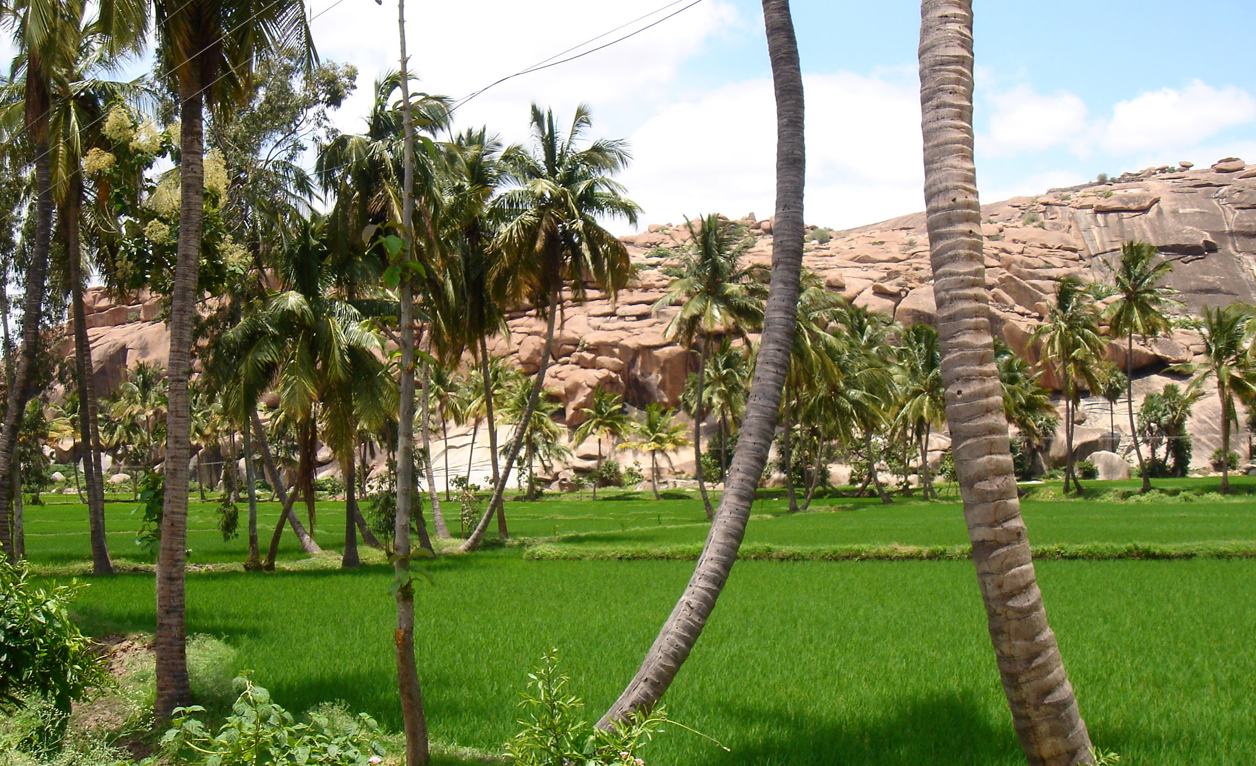 Ruinas de Vijayanâgara, por xolotl