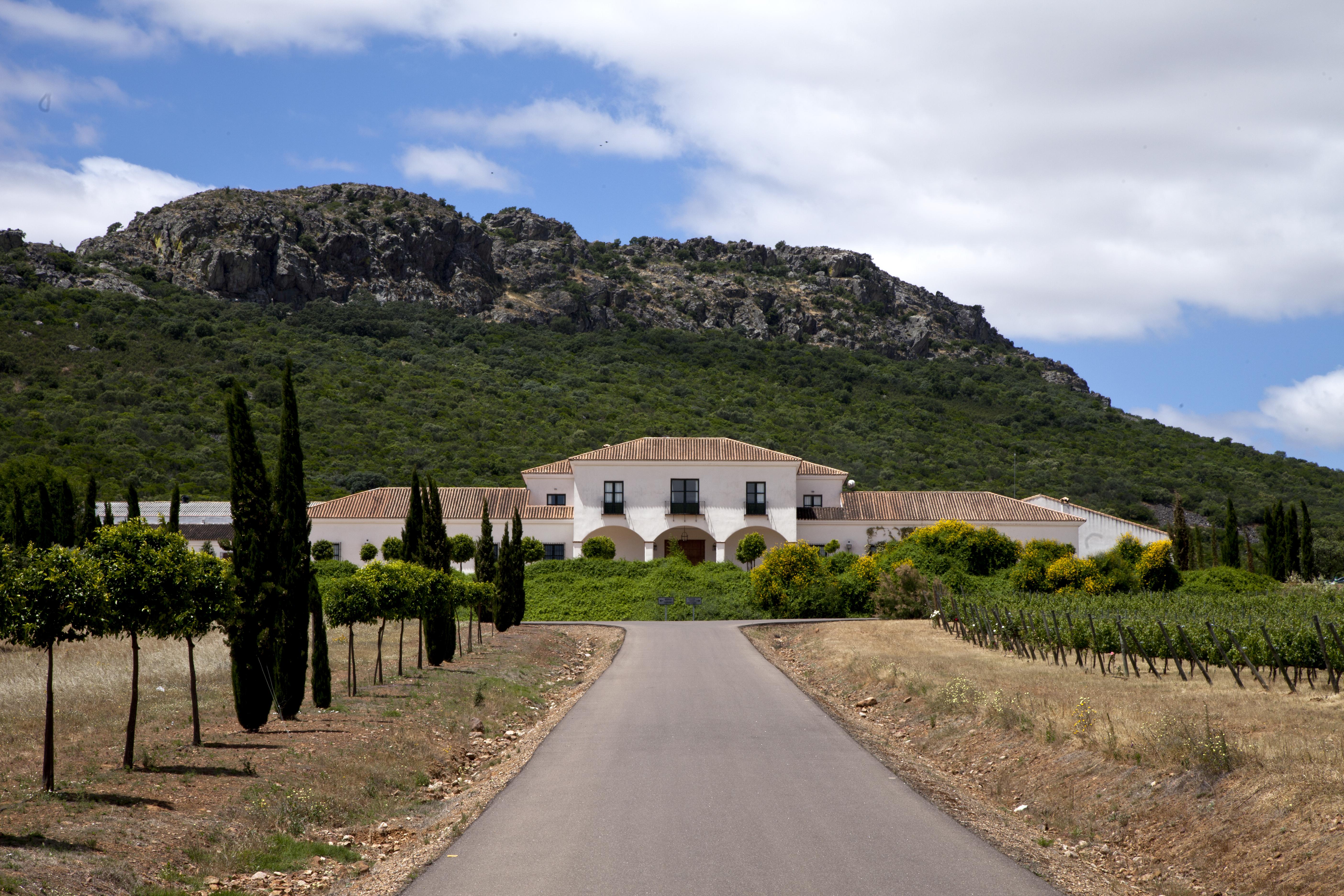 Ruta del Vino por Extremadura: Una aventura para los sentidos.