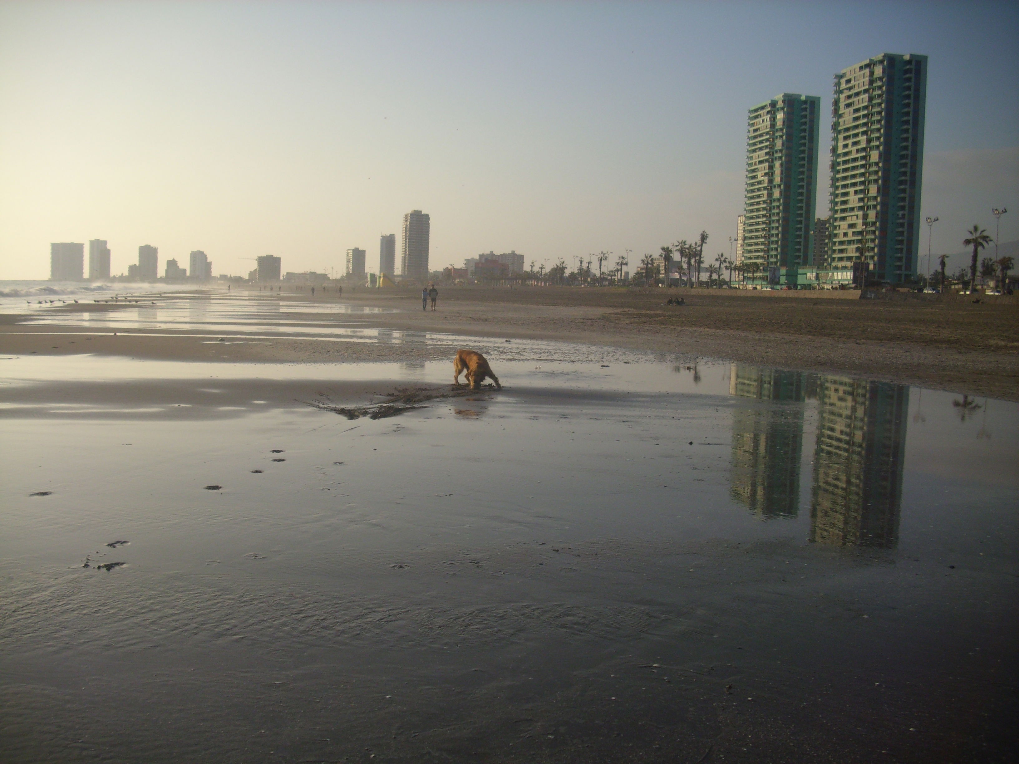 Playa Huayquique, por Ornella Sciaraffia Vega