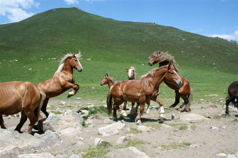 Cot de Baretja - Valle de Aran, por Adria Cuevas Noguer