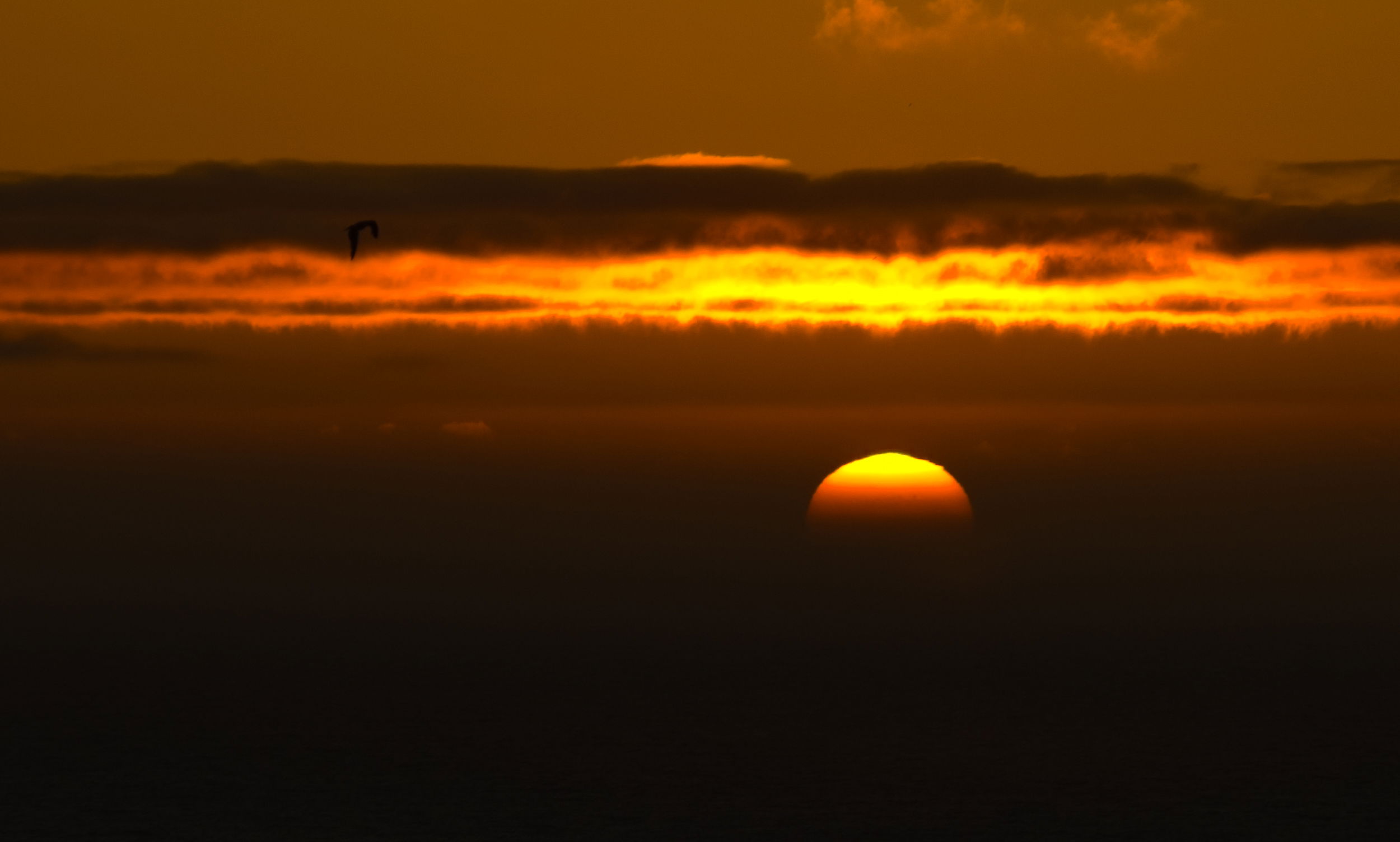 Puesta de Sol en Fisterra, por Julián Nieves Camuñas