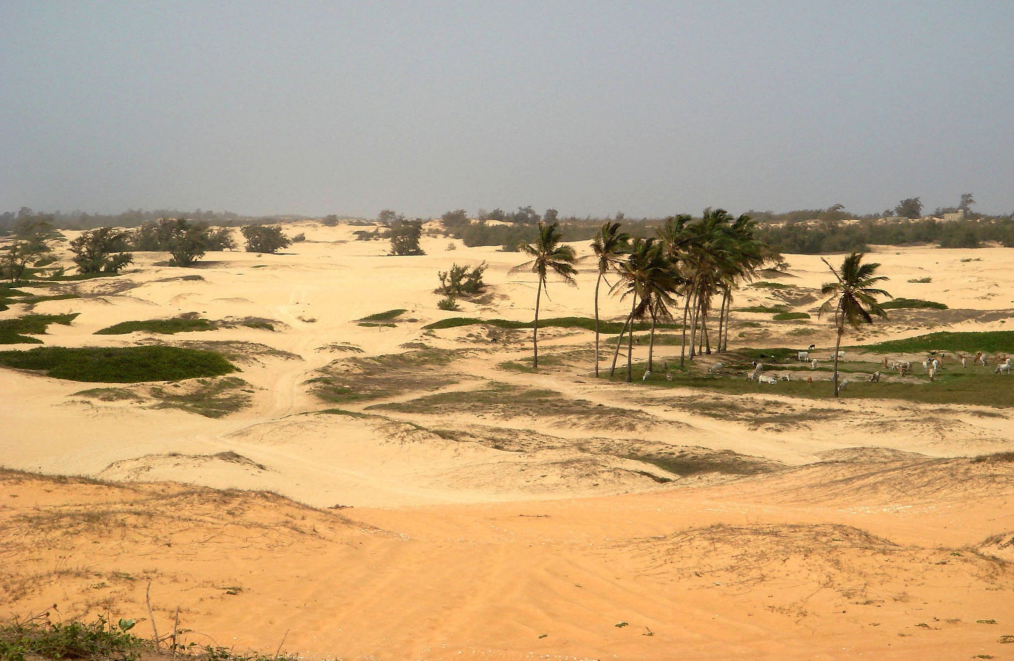 Paisajes de Senegal, por Victoria García González