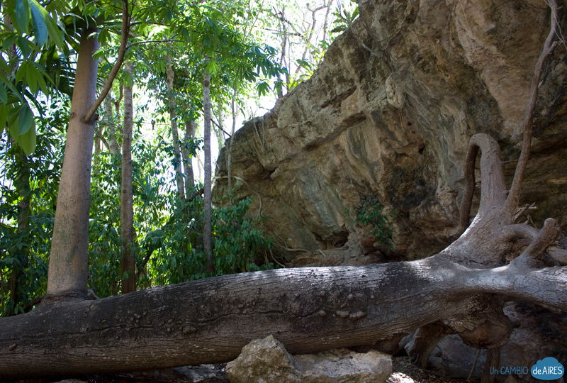 Cenote X-Batún, por Un Cambio de Aires