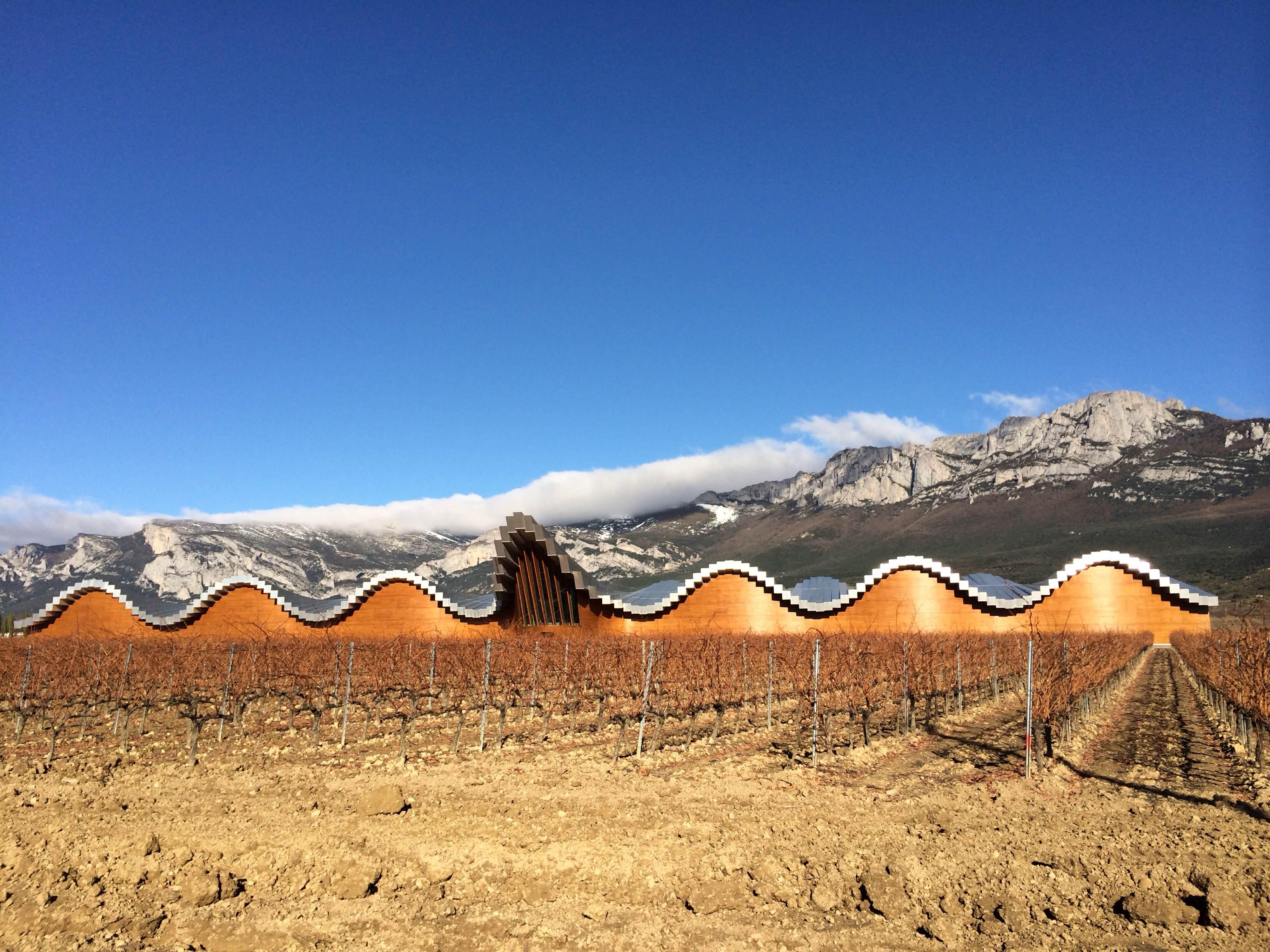 Bodegas Ysios, por María Salazar
