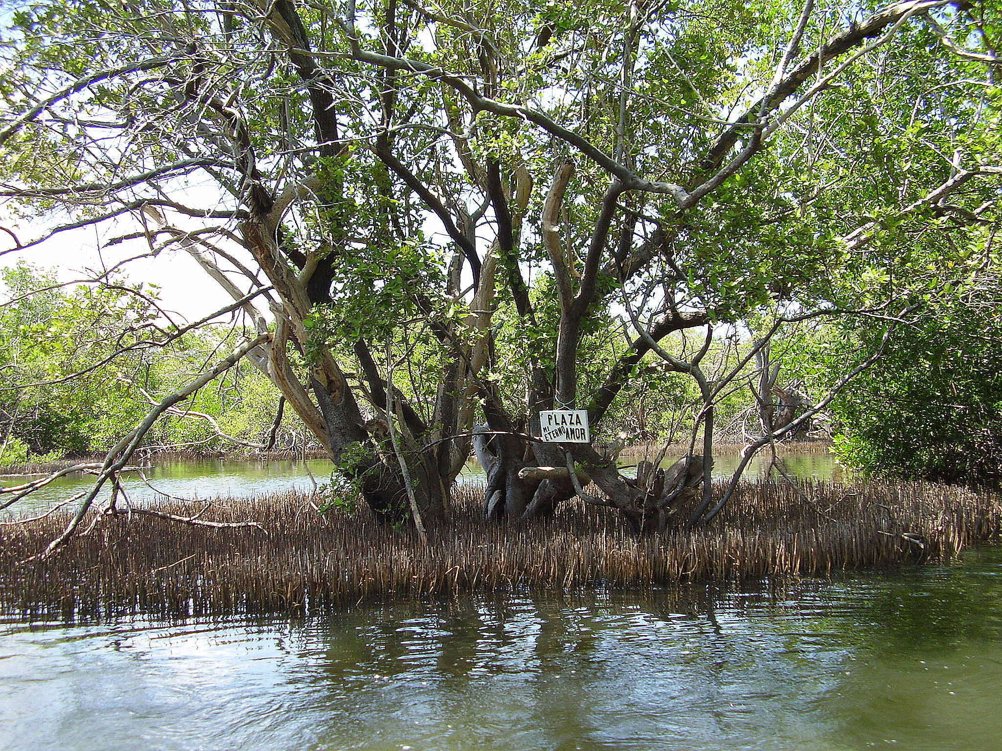 Las reservas naturales de Nueva Esparta que no te puedes perder