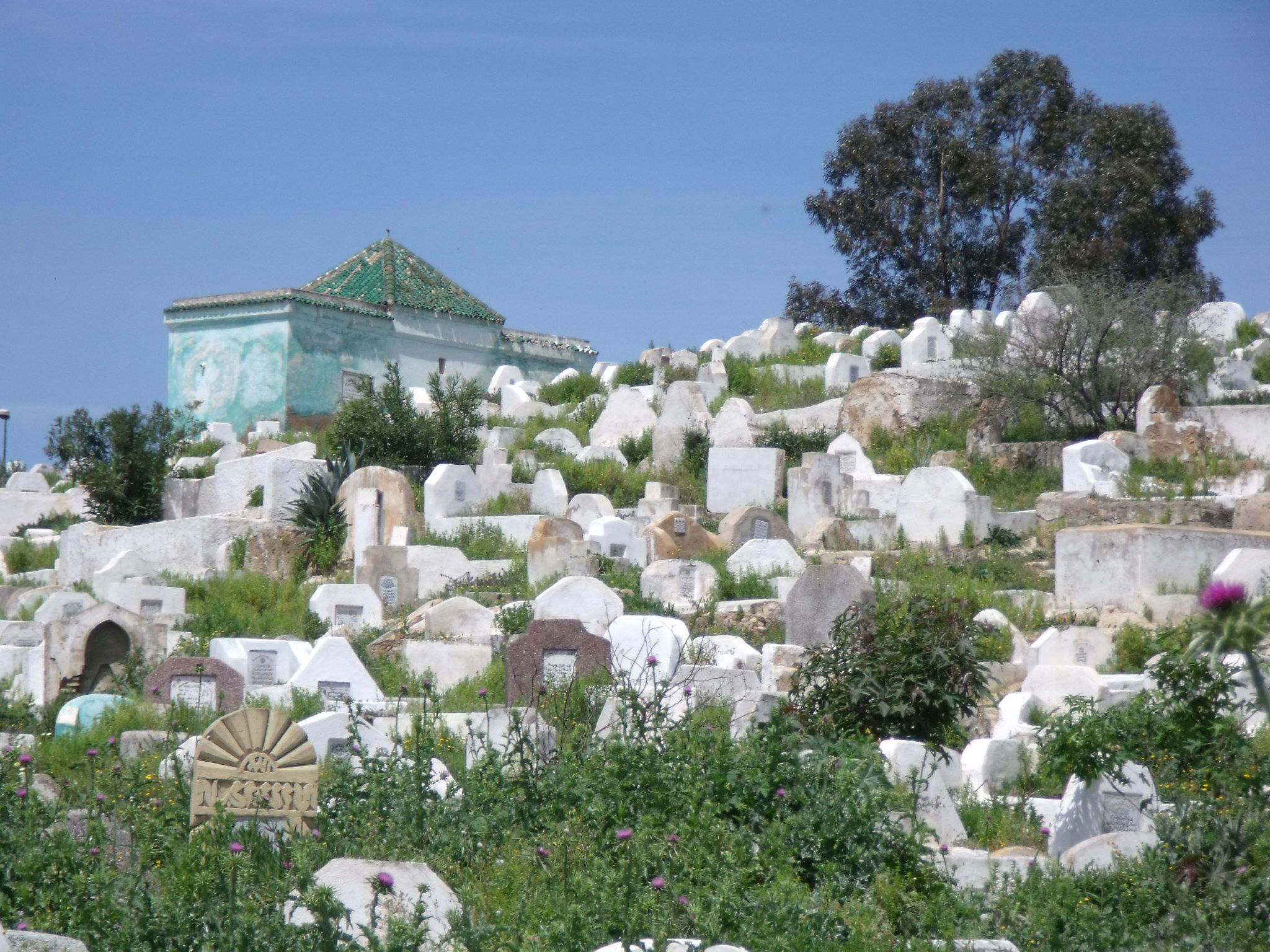 Cementerio Bab Mahrouk, por sala2500