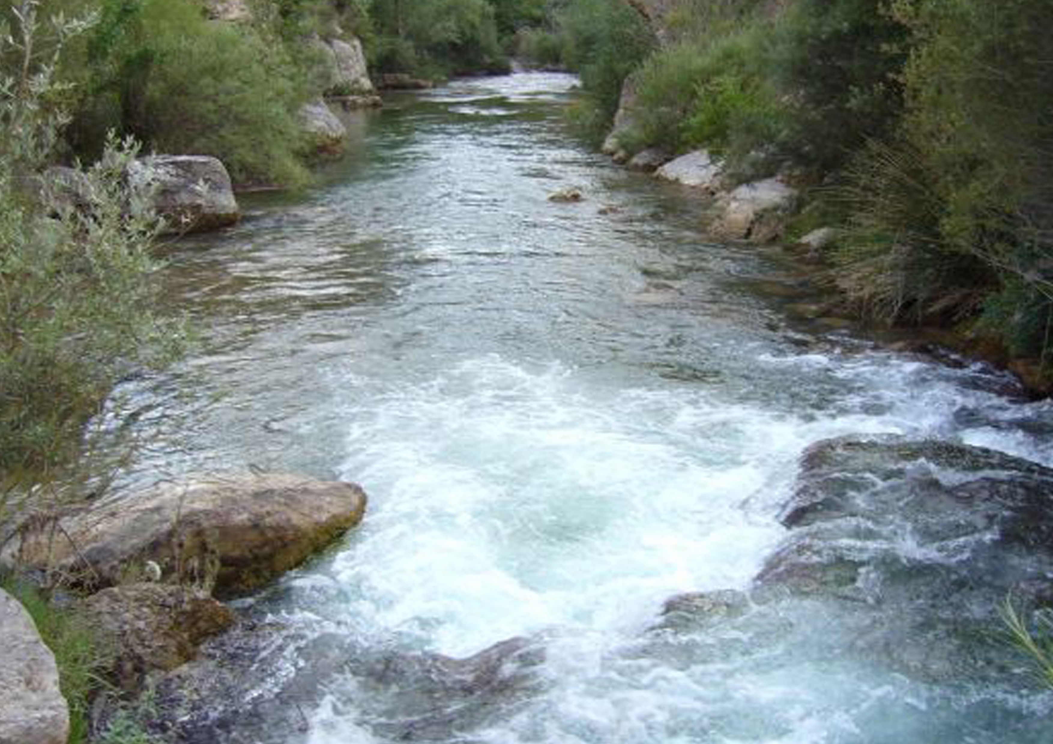 El Rio Cardener, por Rocio
