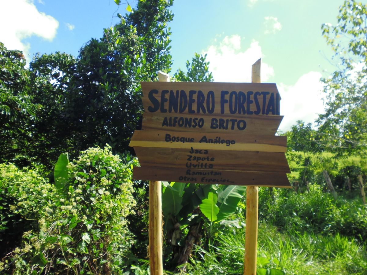 Finca Agroforestal Alfonso Brito, por Centro de la Cultura y Progreso Cotuí