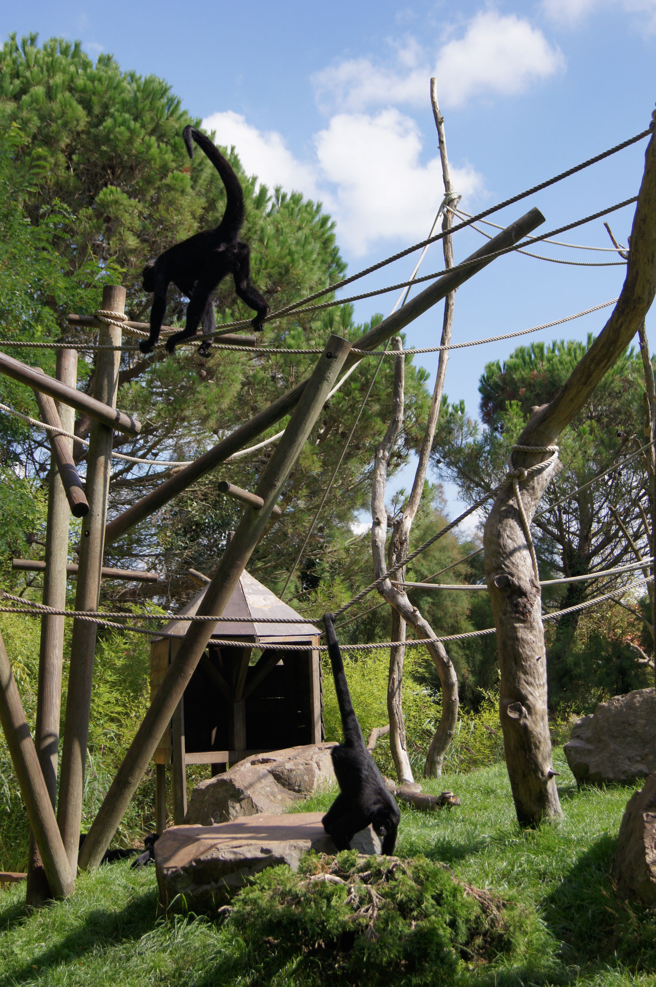 Zoo des Sables d'Olonne, por Antoine