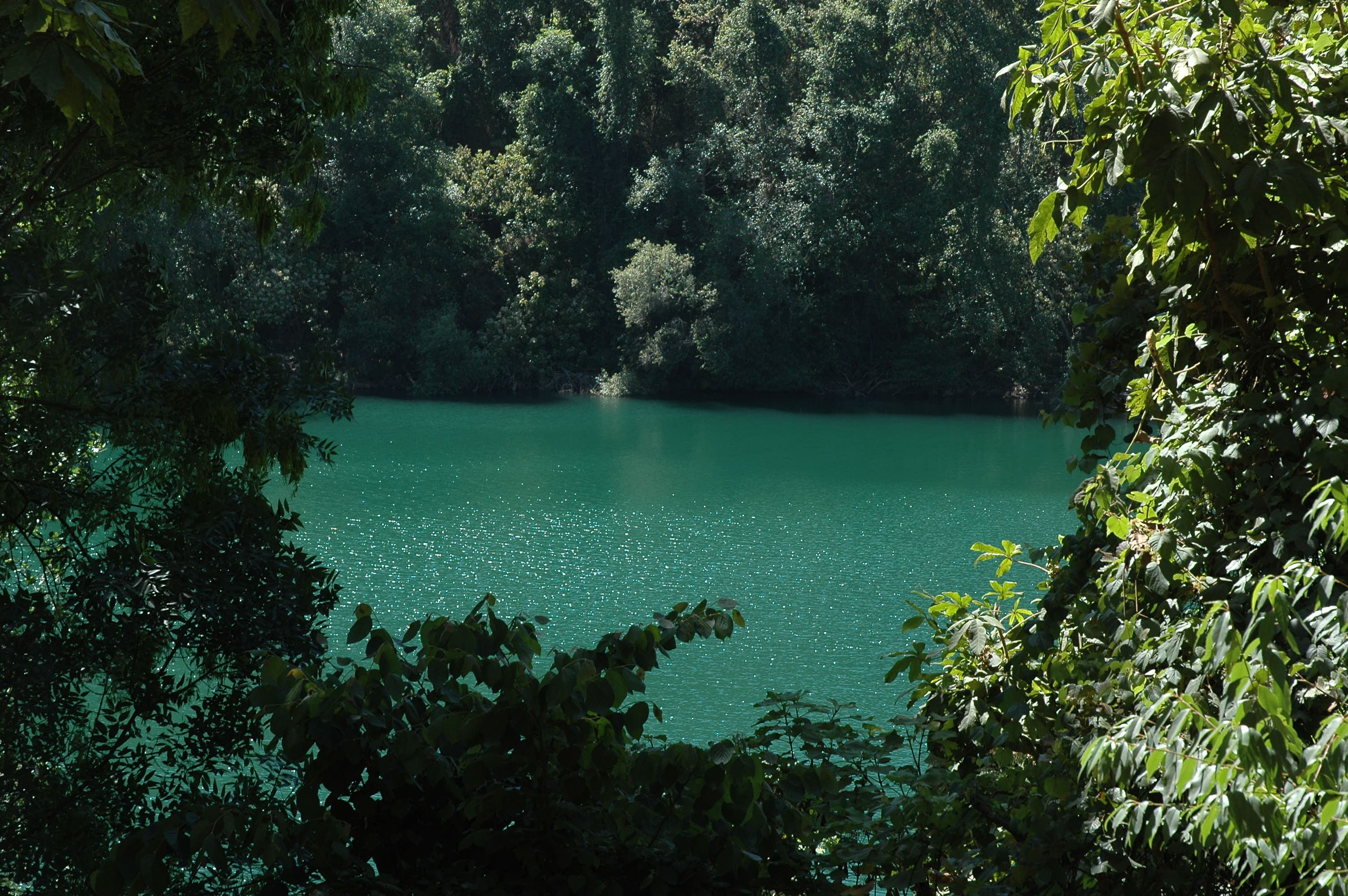 Rincon de agua Verde, por Adriana Gonzalez Vega
