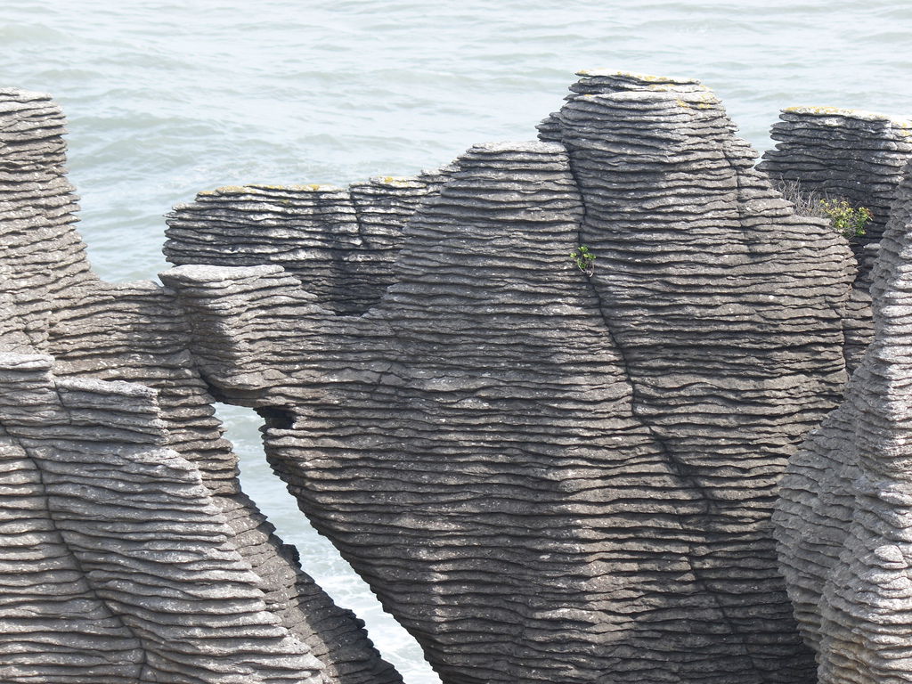 Punakaiki Pancake Rocks, por Carlos Olmo