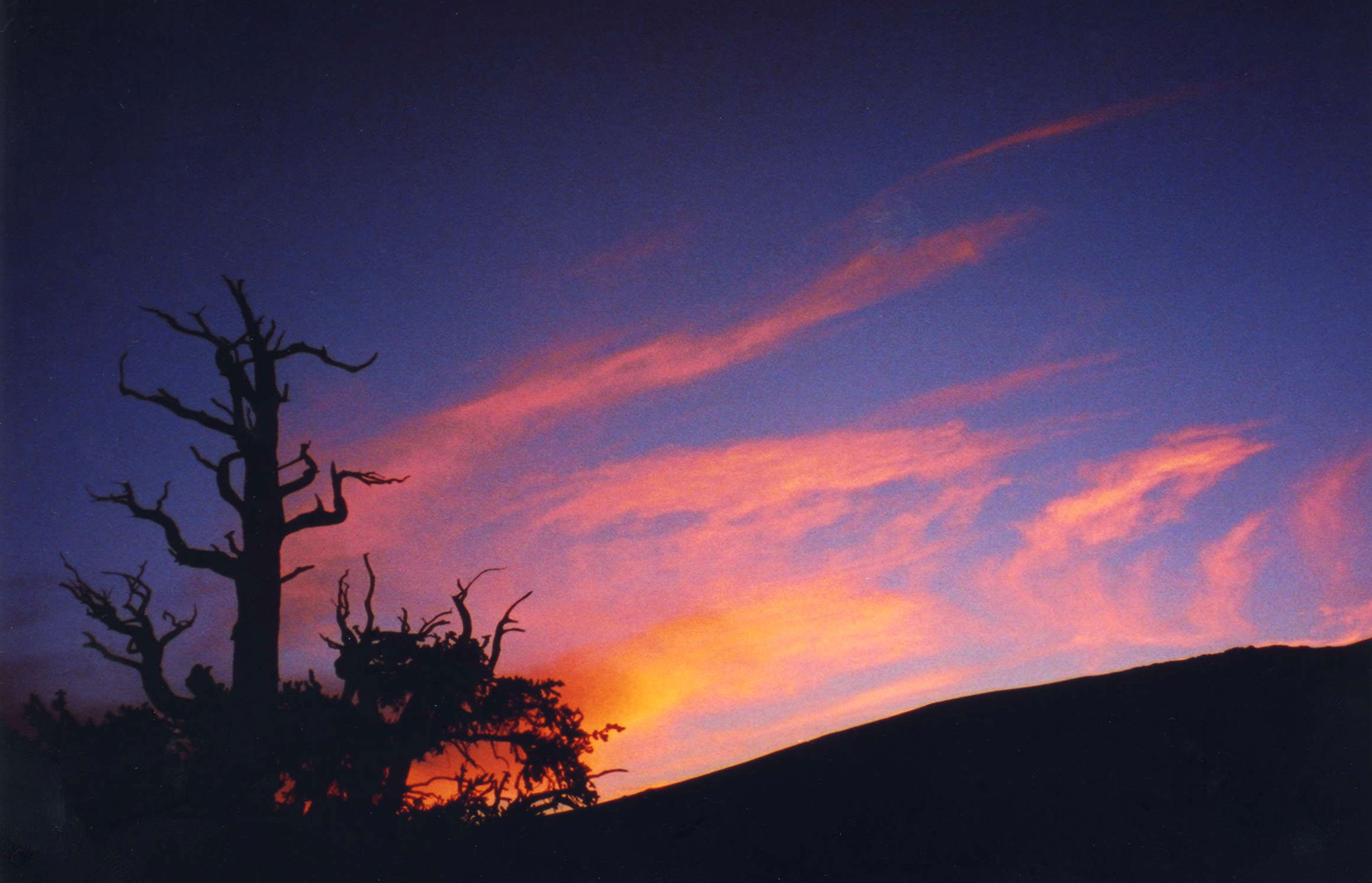 Inyo National Forest, por jnavarri