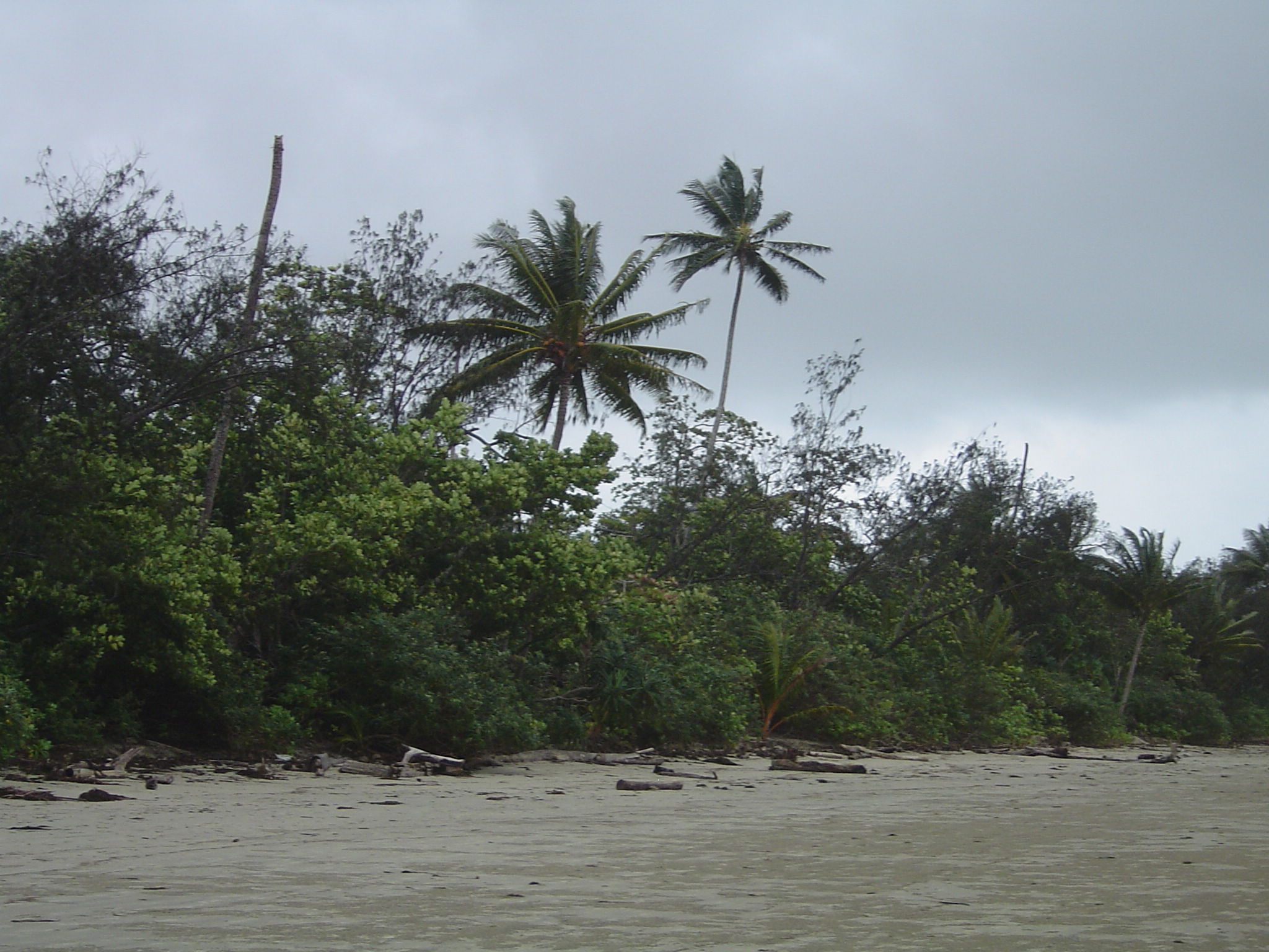 Playa de Cape Tribulation, por alessandra cirri